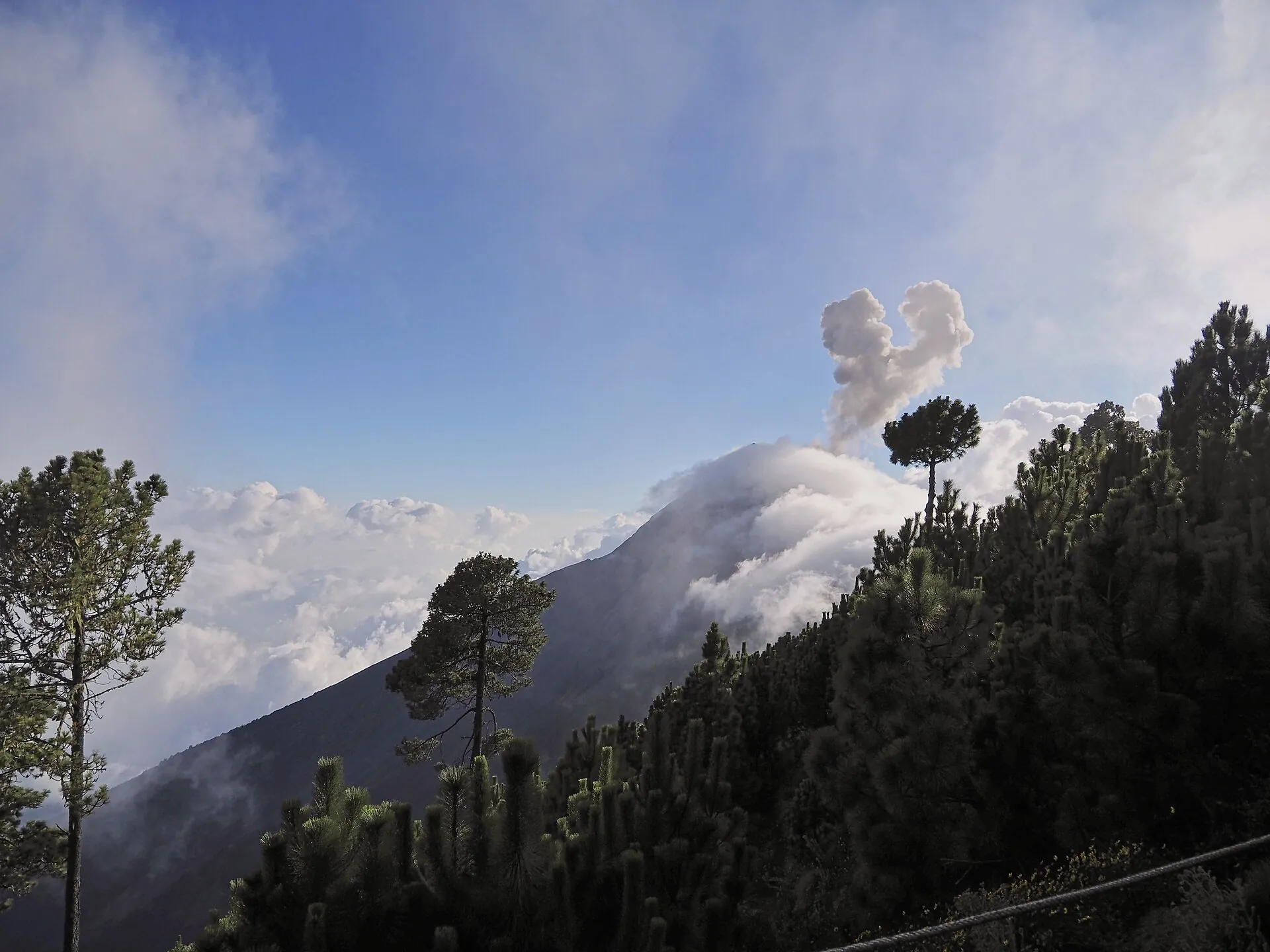 Afternoon view from the pine-covered slope of Acatenango: clouds drift around Volcán de Fuego, a pale ash cloud hangs over its crater