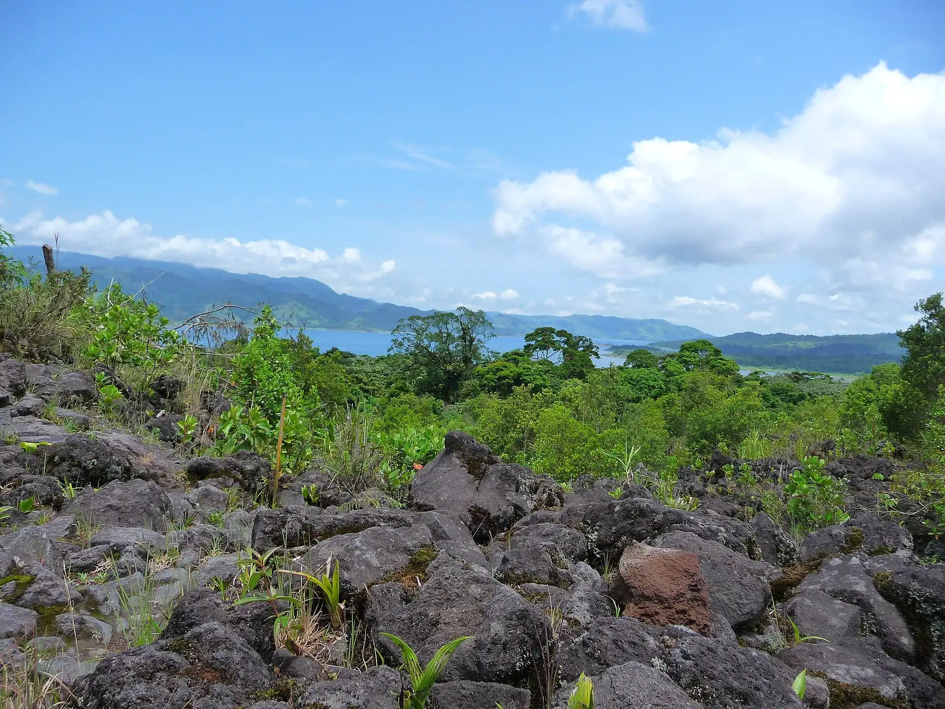 Coarse black lava blocks of a solidified flow at Arenal Volcano, young green growth between them, Lake Arenal in the background