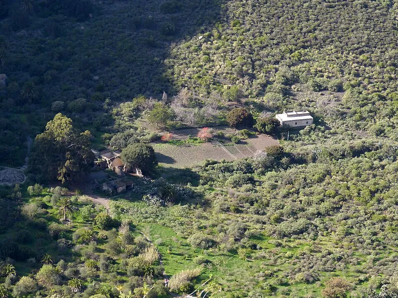 Blick von oben auf den Kraterboden der Caldera de Bandama: Felder, Palmen und die alten Höfe zwischen Büschen