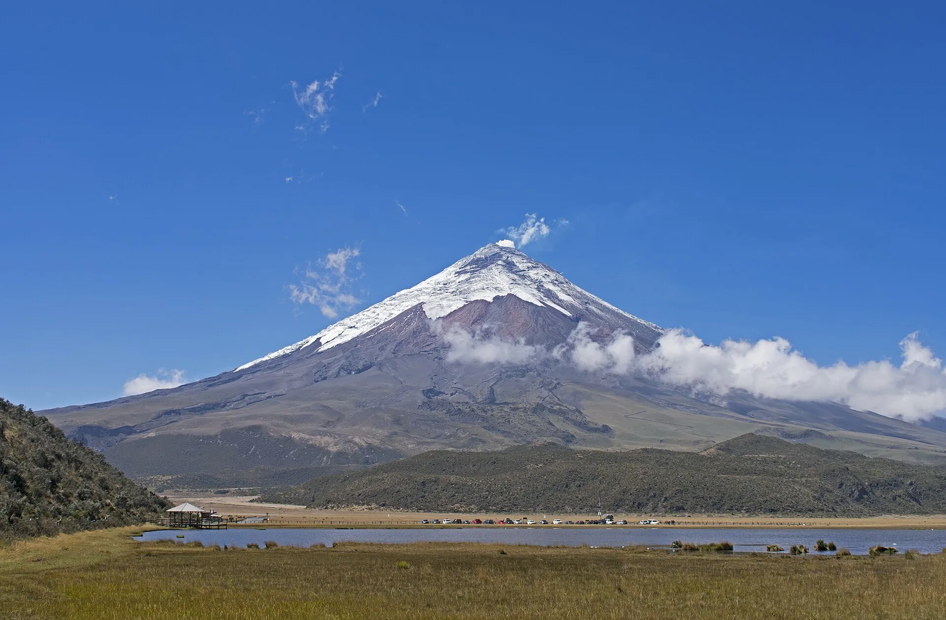 Der schneebedeckte Kegel des Cotopaxi über der Laguna de Limpiopungo, davor Páramo-Gras unter blauem Himmel
