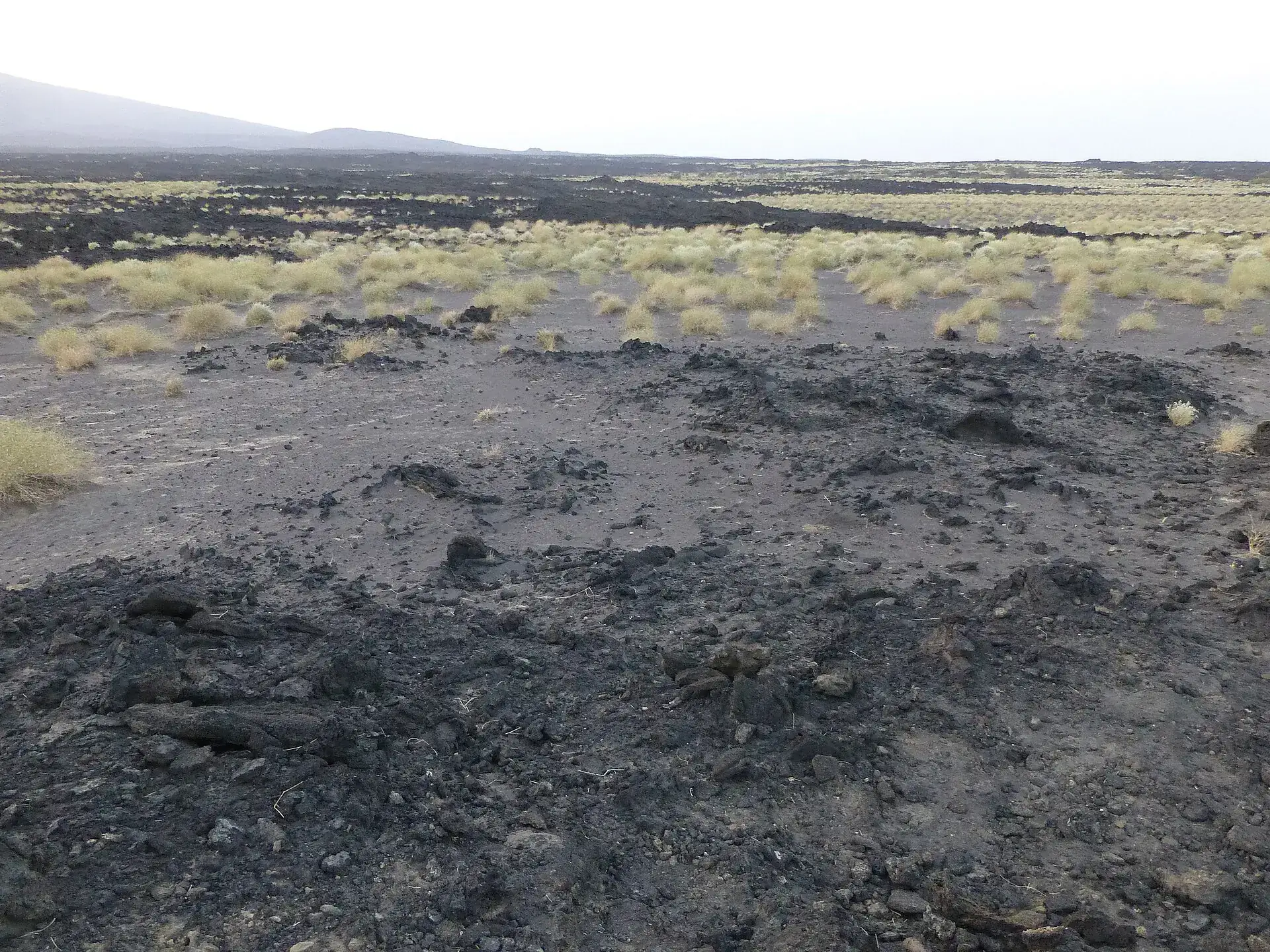 A black lava field with yellow tufts of grass at the foot of Erta Ale, the flat outline of the shield volcano in the haze