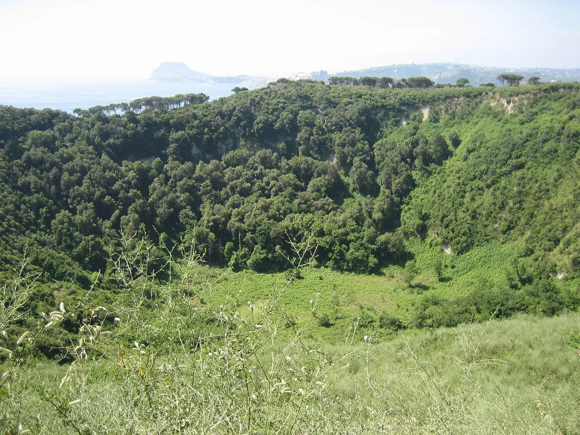 Blick in den bewaldeten Krater des Monte Nuovo bei Pozzuoli, im Hintergrund der Golf