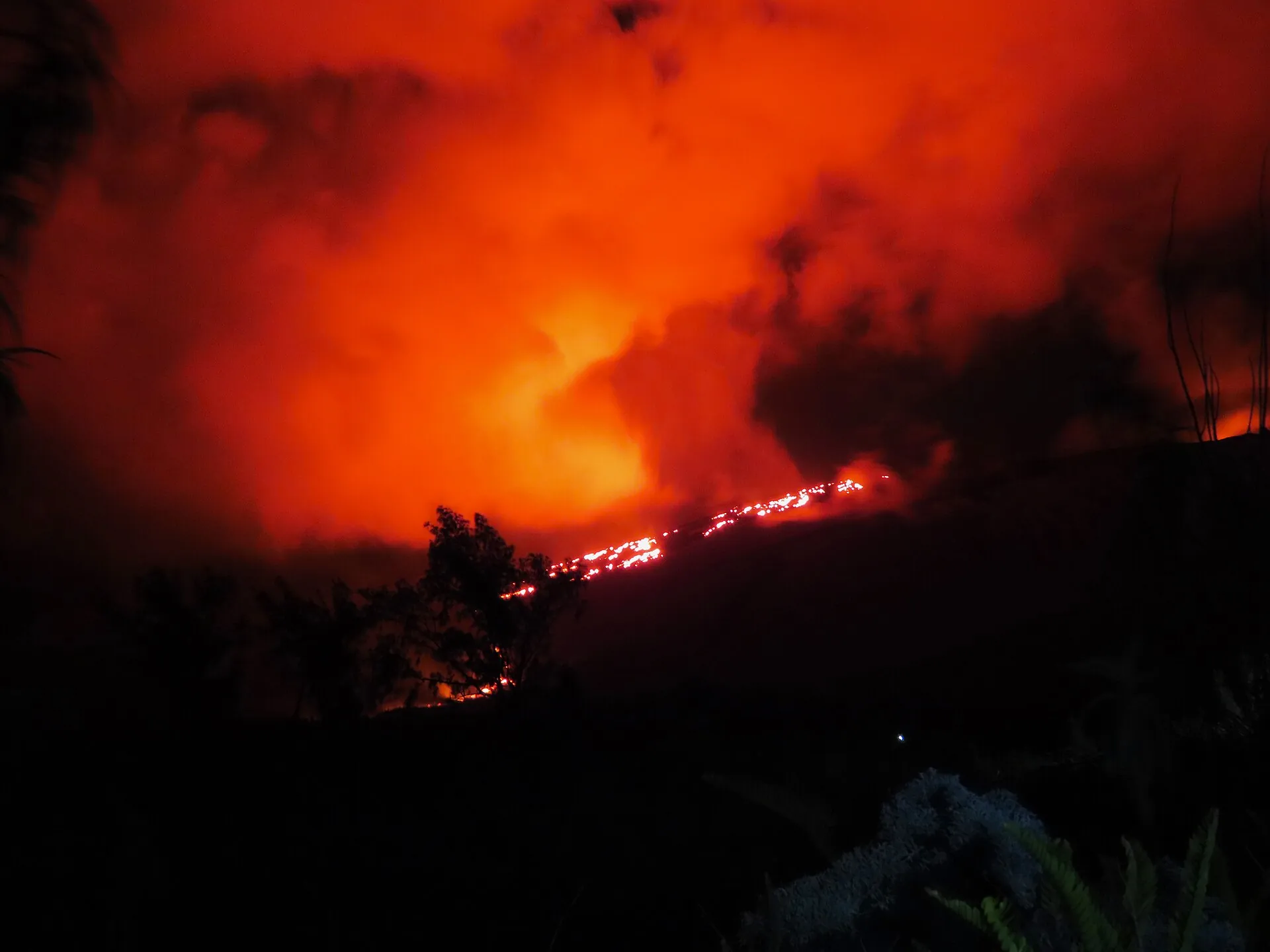 Night shot of the February 2026 eruption of Piton de la Fournaise: red glow over the slope, a glowing line of flowing lava, trees in silhouette
