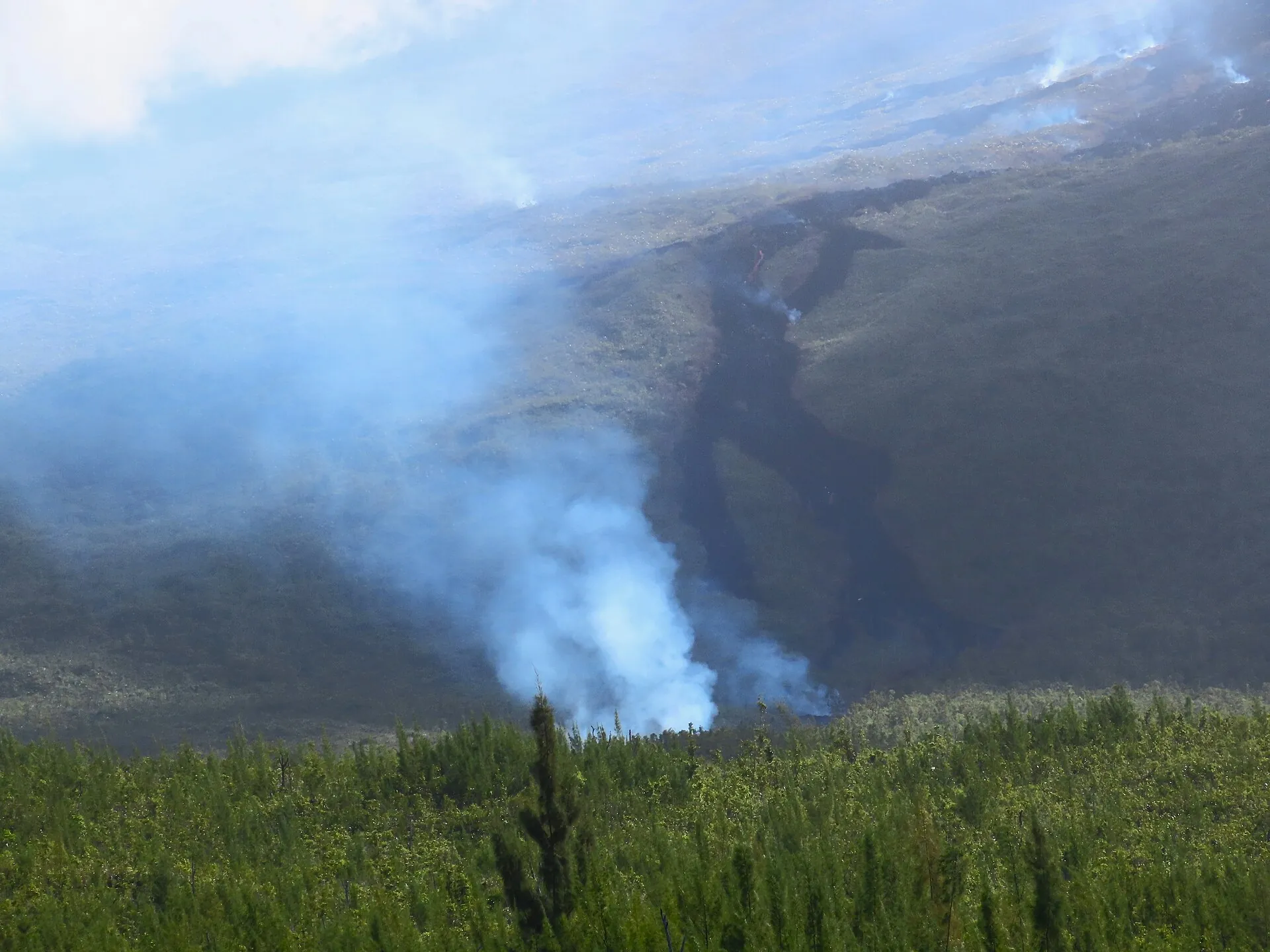 The March 2026 lava flow as a dark swath through the forest of the Grand Brûlé, smoke rising in several places