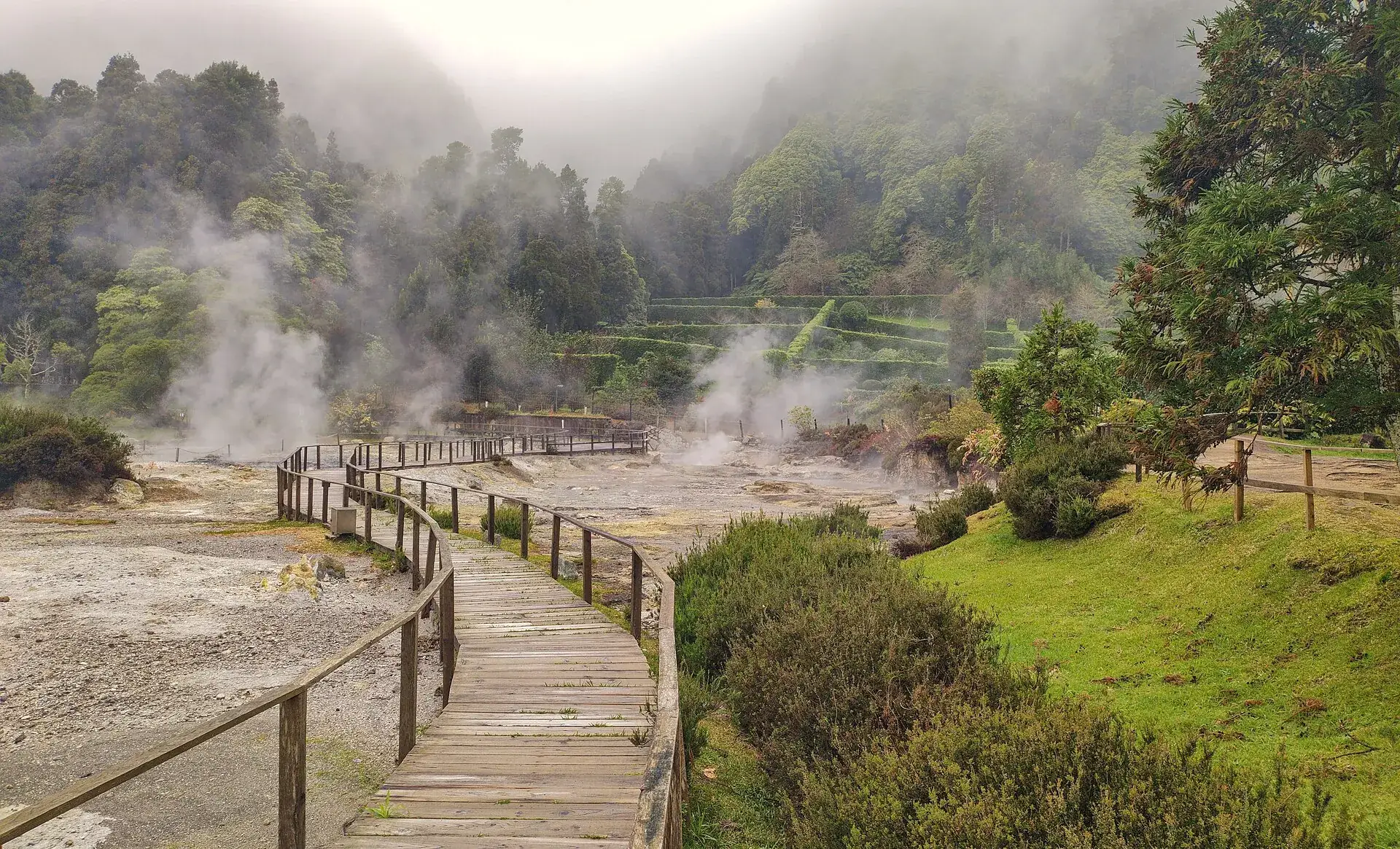 Holzsteg durch das dampfende Fumarolenfeld an der Lagoa das Furnas, Dampfschwaden über dem gelben Boden