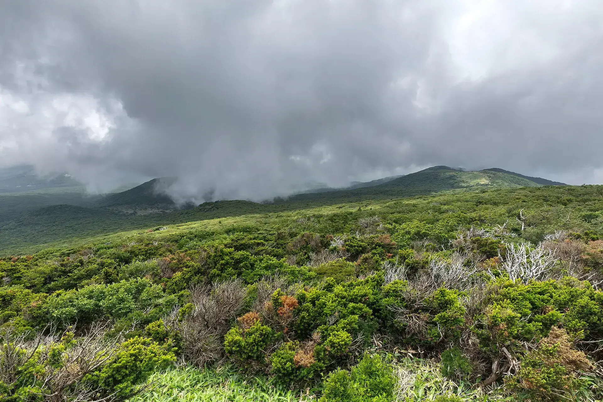 Green, cloud-covered slopes of Hallasan National Park along the Yeongsil Trail on Jeju