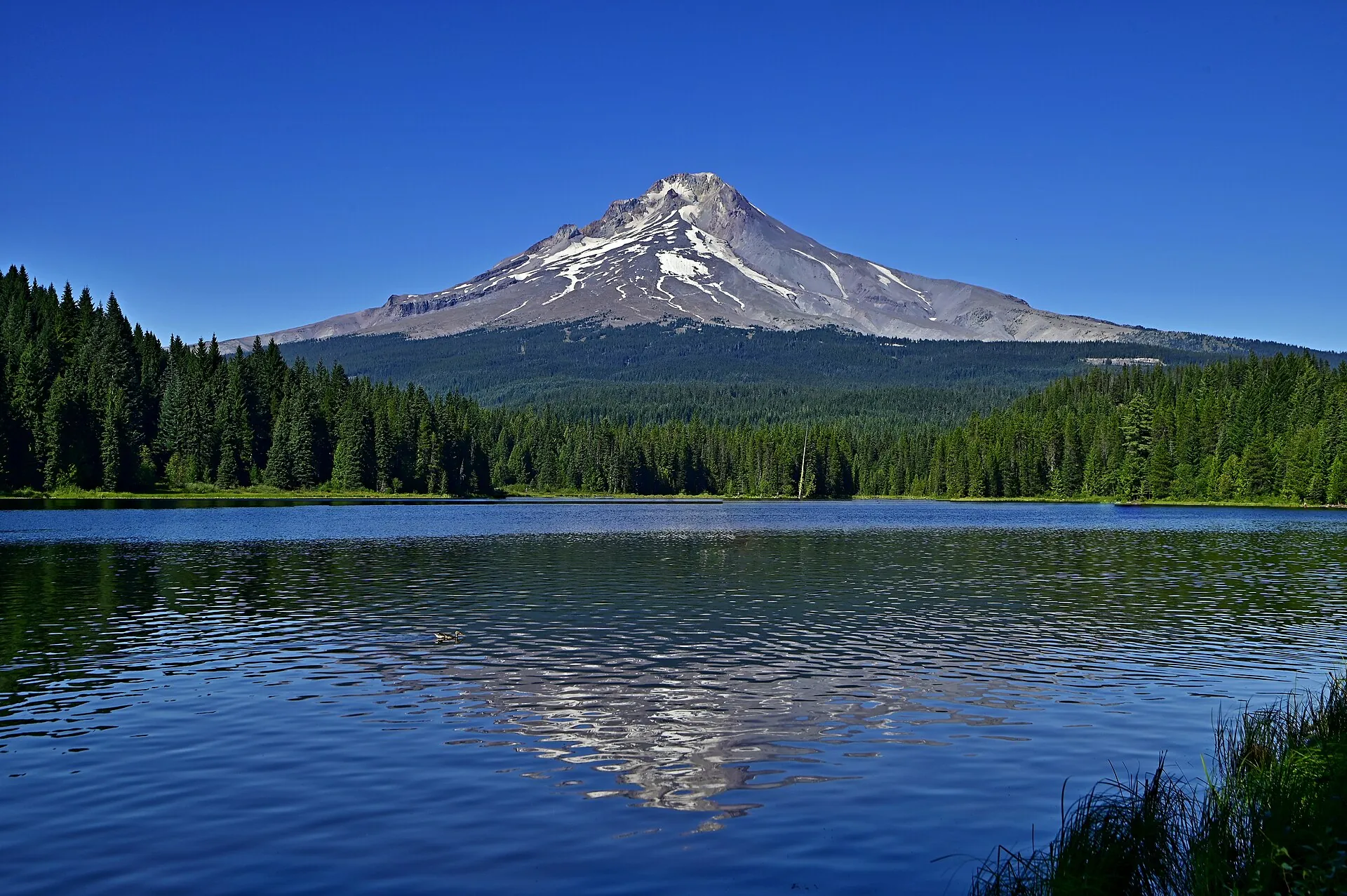 Mount Hood spiegelt sich im Trillium Lake: der schneegefleckte Kegel über dunklem Nadelwald, davor gekräuseltes blaues Wasser