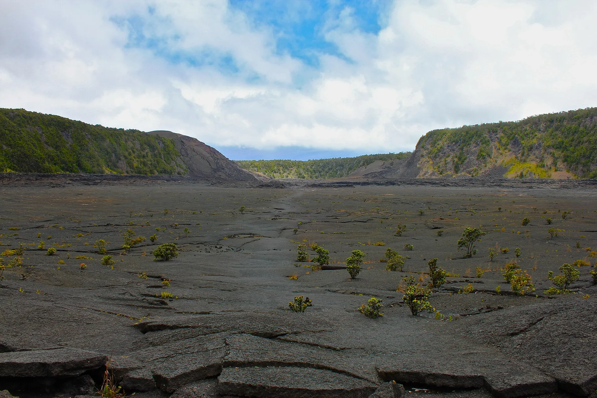 The hardened lava lake in Kilauea Iki crater: cracked black ground with the first plants, forested crater walls behind
