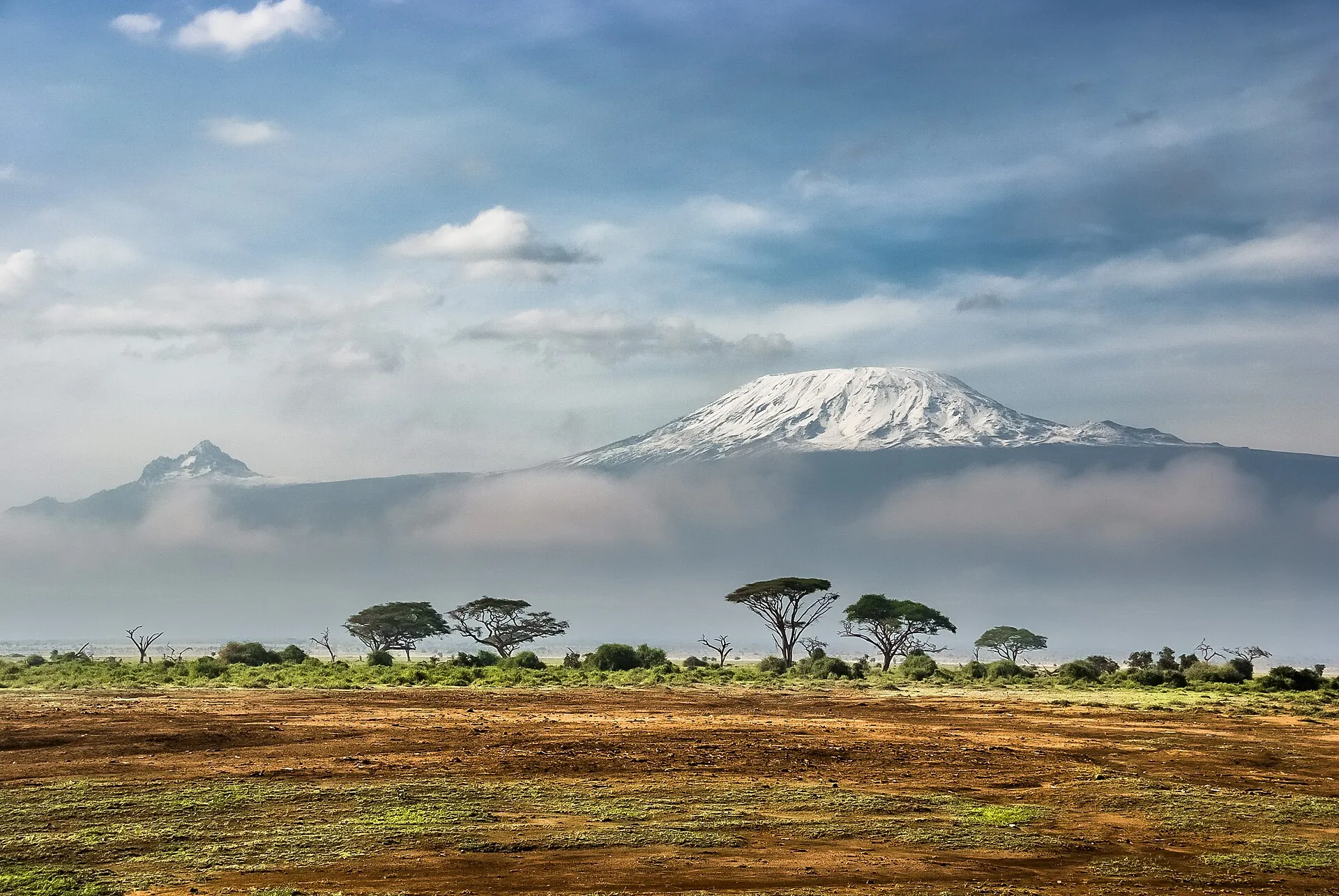 Snow-capped Kilimanjaro above the savanna of Amboseli, umbrella acacias and a bank of cloud in front