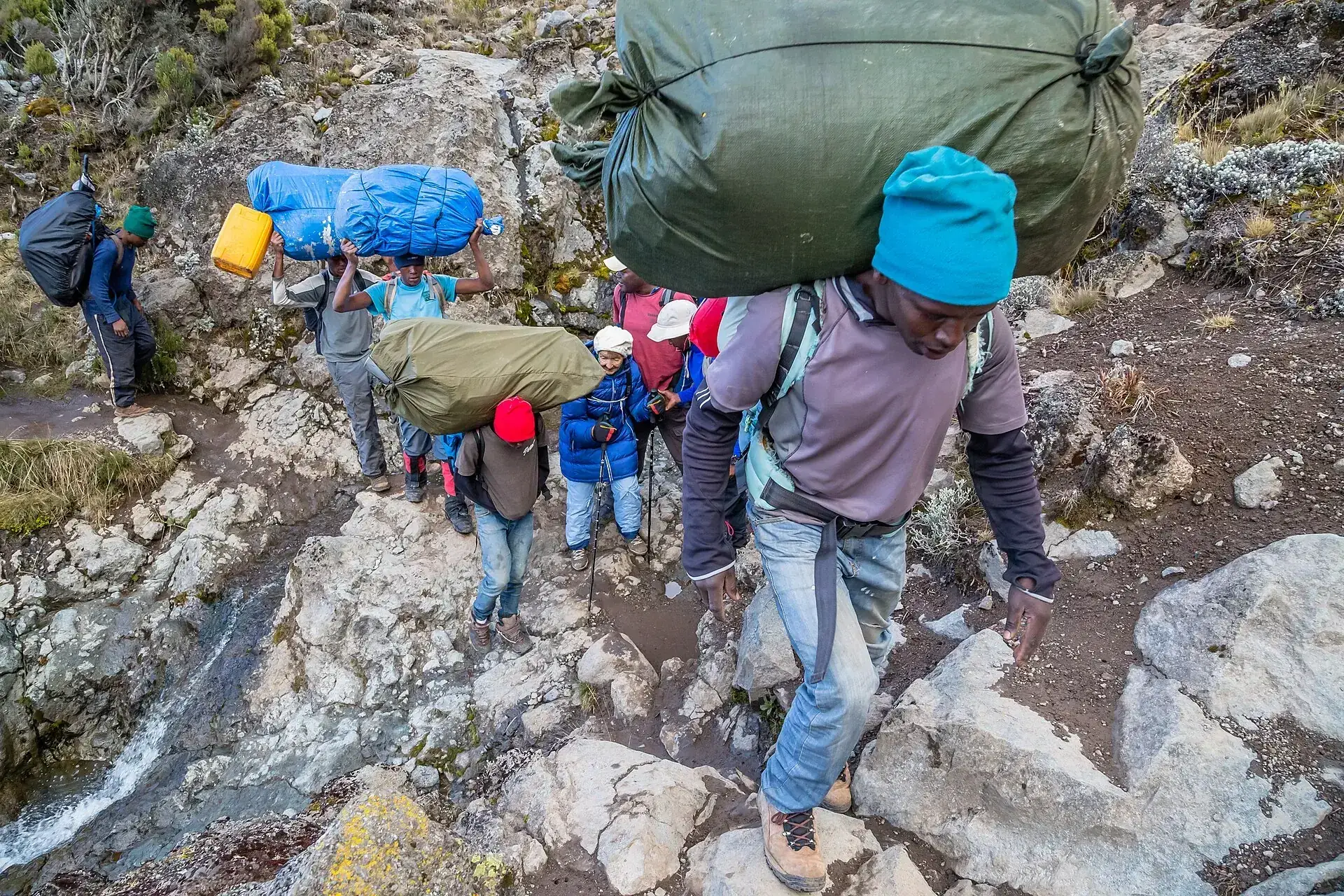 Porters carrying large loads on their heads climb wet rock steps on Kilimanjaro, a stream running beside the trail