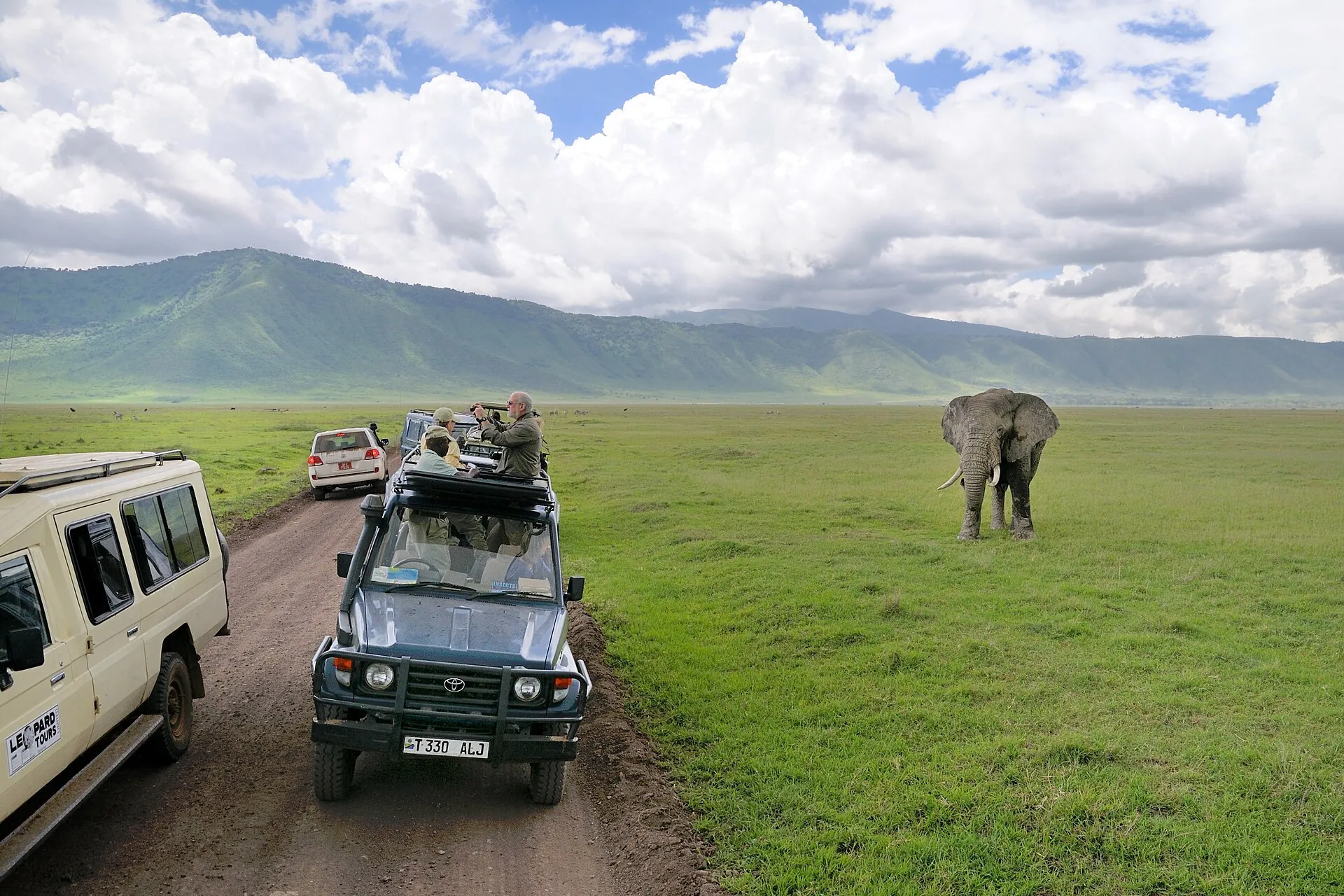Zwei Safari-Fahrzeuge mit offenem Dach stehen auf der Piste im Ngorongoro-Krater, ein Elefant kommt über das Gras auf sie zu
