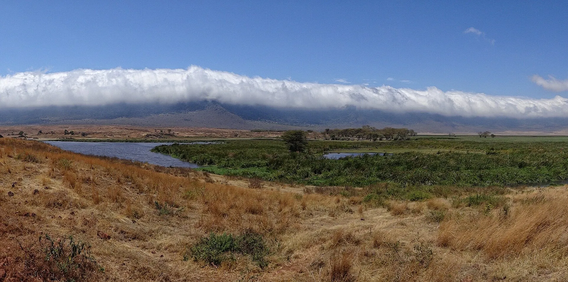 Blick vom Boden des Ngorongoro-Kraters zur südlichen Kraterwand, über die eine Wolkenbank hängt, davor Gras und ein Teich