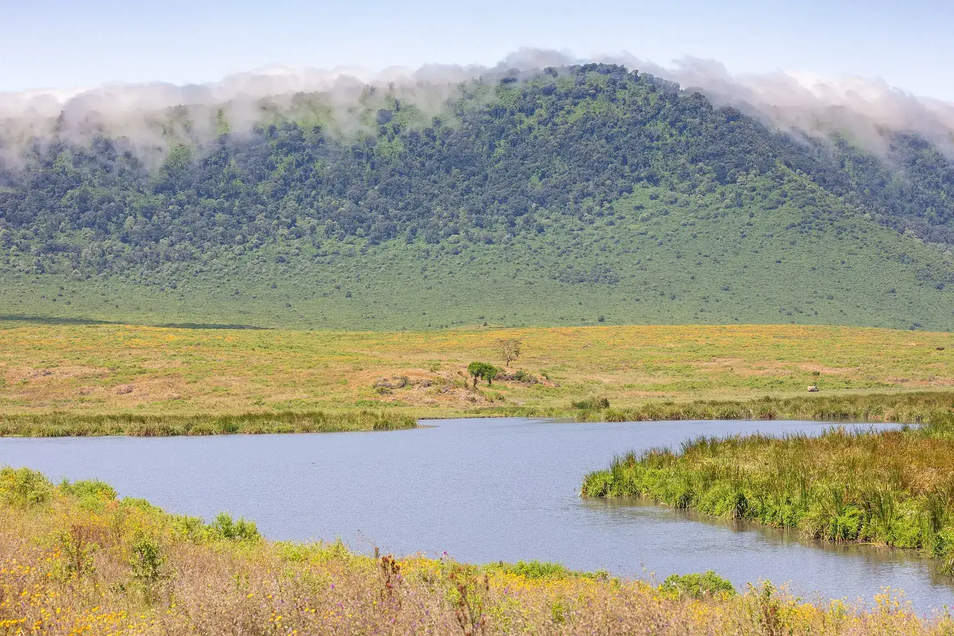 Wolken fallen wie ein Wasserfall über den bewaldeten Kraterrand des Ngorongoro, davor ein See auf dem Kraterboden