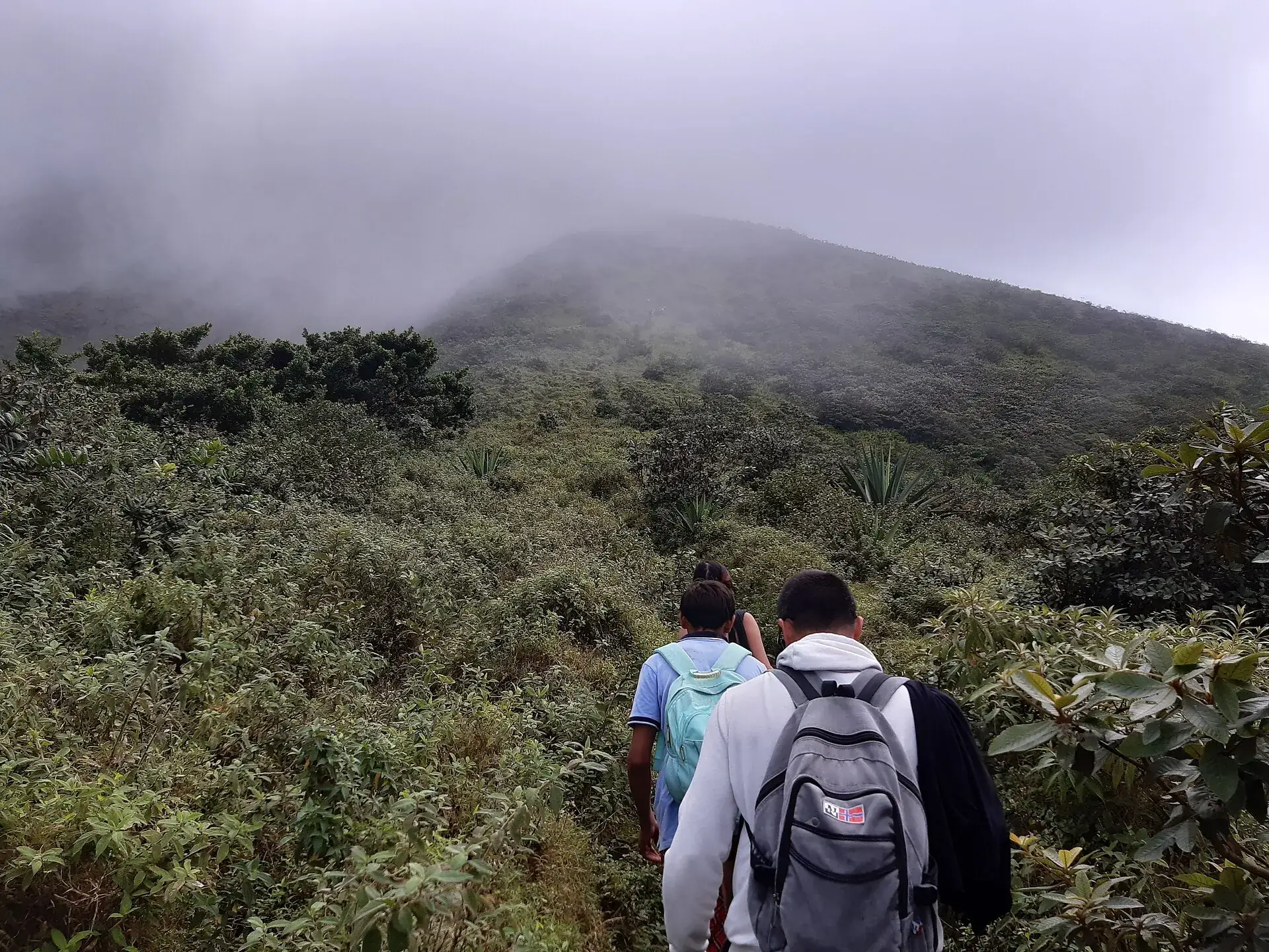 Zwei Wanderer mit Rucksäcken auf dem Weg durch den Nebelwald am Concepción, der Gipfel in den Wolken