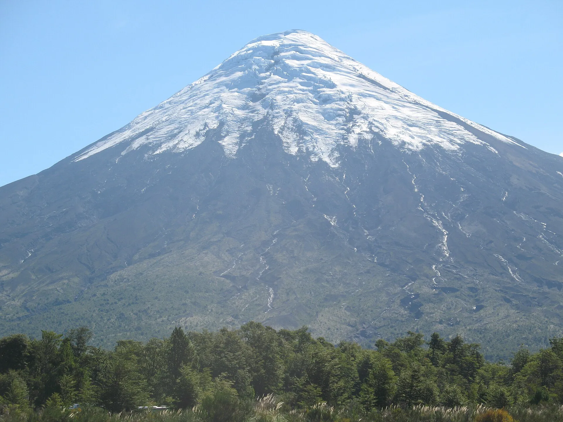 The symmetrical snow cone of Osorno above dark forest, seen from Lake Todos los Santos