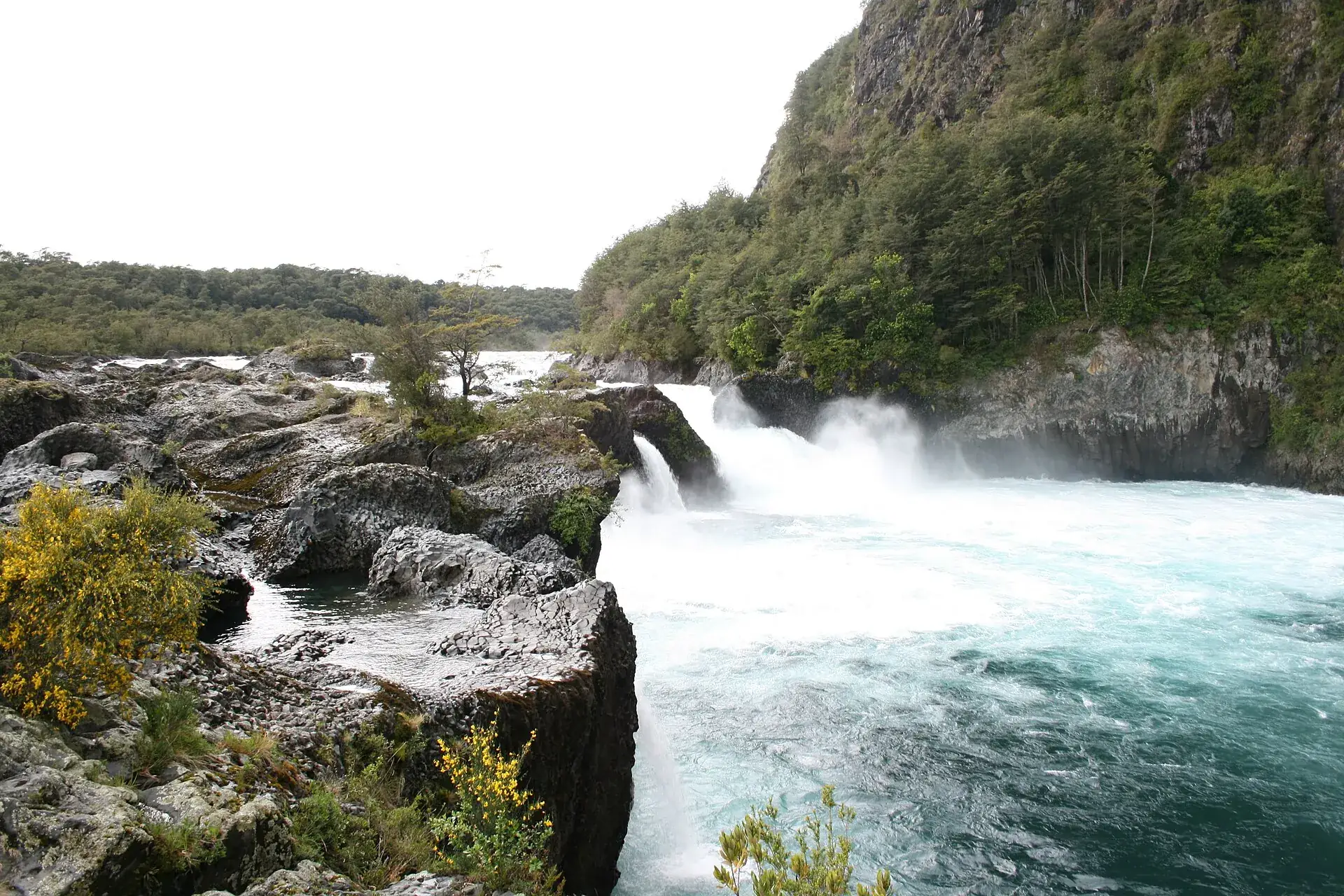 The Saltos del Petrohué: turquoise water pouring over black lava ledges, wooded slopes behind