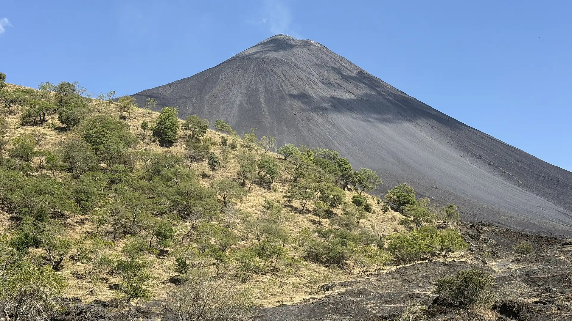 The climb on Pacaya: a dry slope with shrubs and trees, behind it the dark ash cone of Mackenney under a blue sky