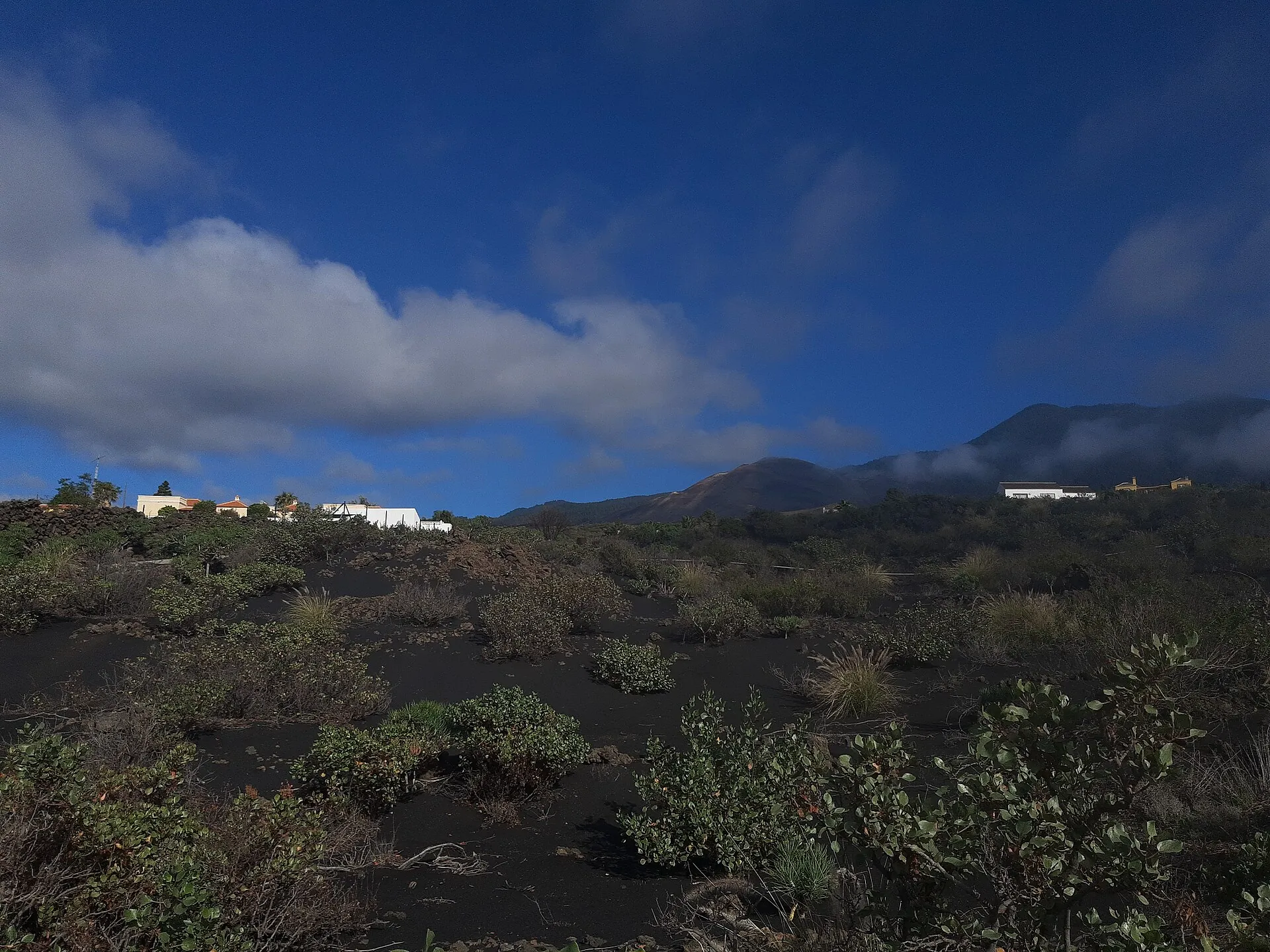 White houses stand half sunk in a black lava field on La Palma, lapilli and first plants in front, clouds above