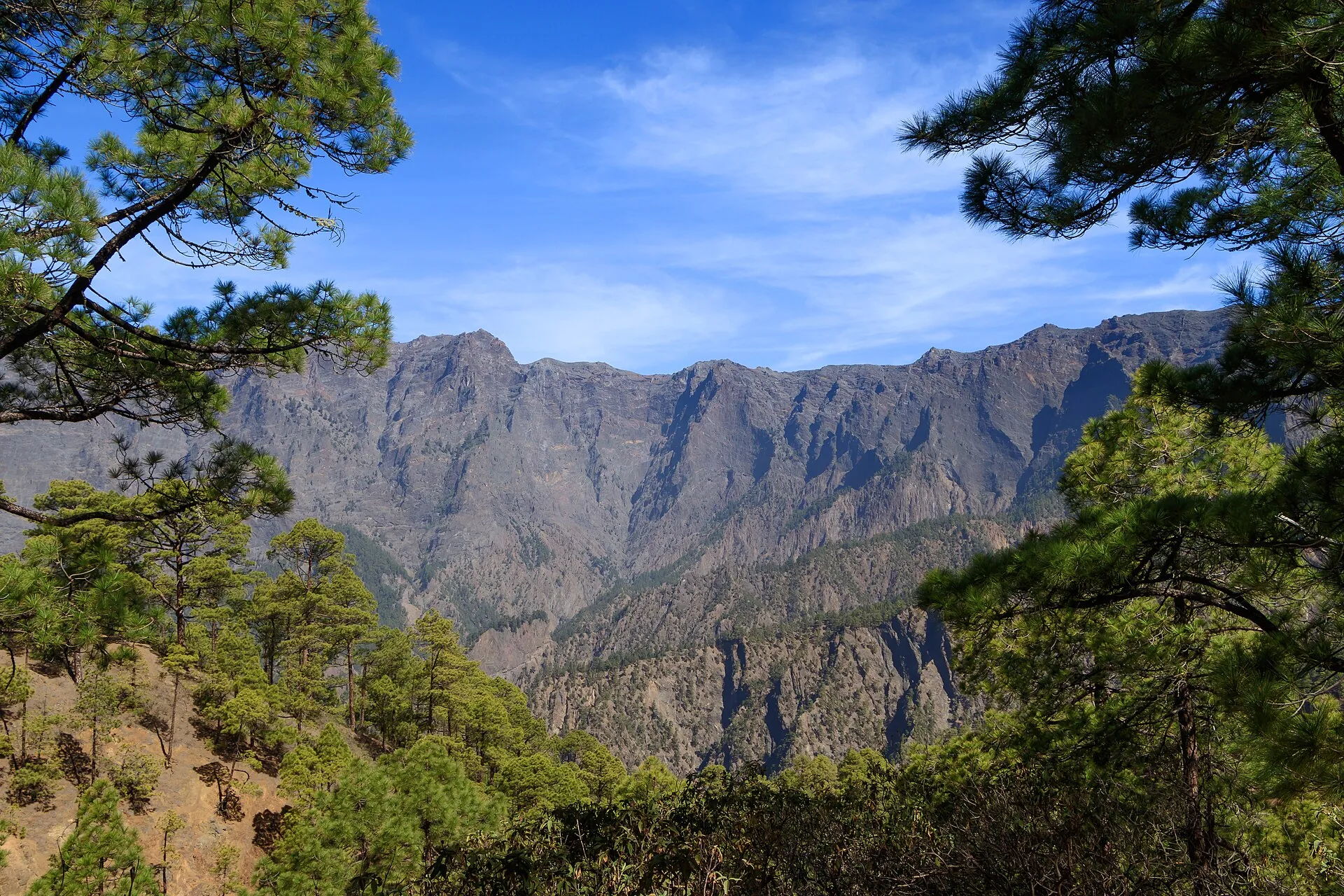 View through pines into the Caldera de Taburiente: steep, furrowed rock walls under a blue sky