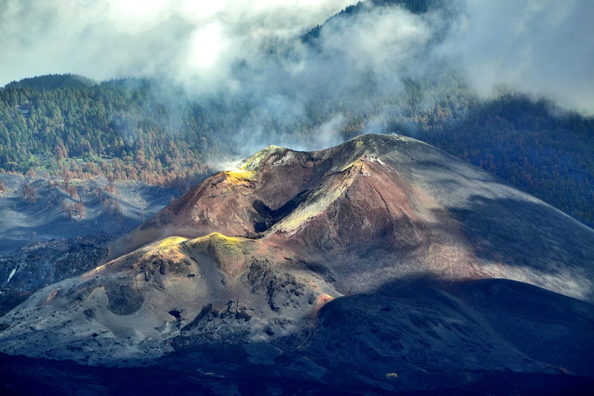 Tajogaite on La Palma: the young cone with yellow sulphur patches and steaming cracks, wooded slopes in the haze behind