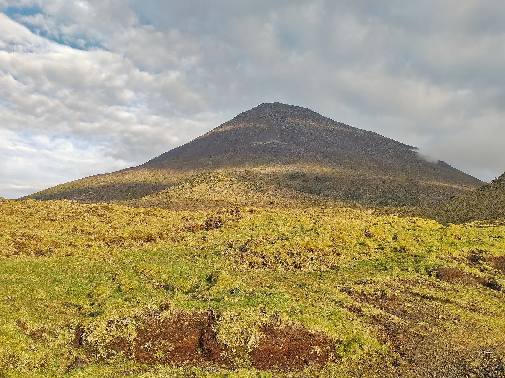 Die Montanha do Pico von unten: der breite Vulkankegel über gelbgrünen Heideflächen, die Spitze in Wolken