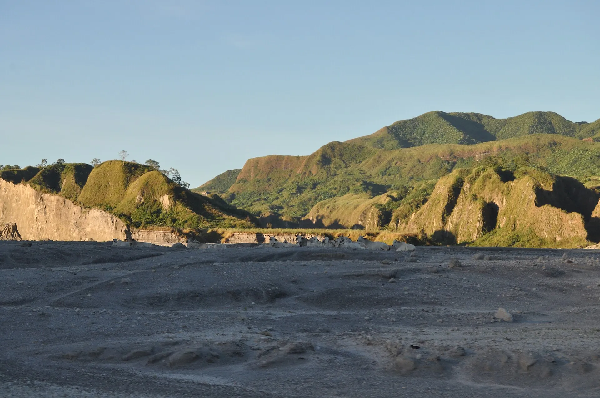 Das Crow Valley am Pinatubo: eine graue Lahar-Ebene mit Jeepspuren, links und rechts ockerfarbene, zerklüftete Aschewände
