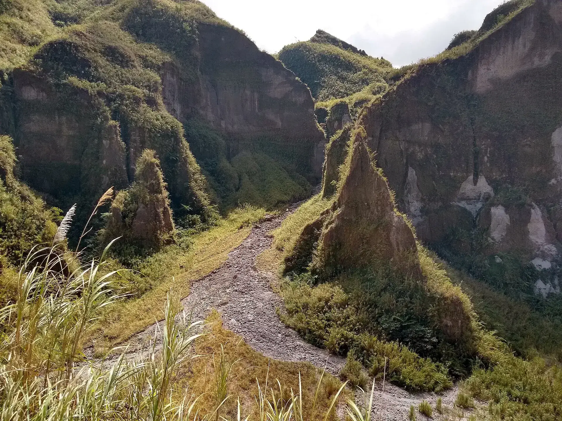 Ein schmaler Pfad windet sich zwischen grün bewachsenen, spitzen Aschetürmen am Pinatubo bergauf