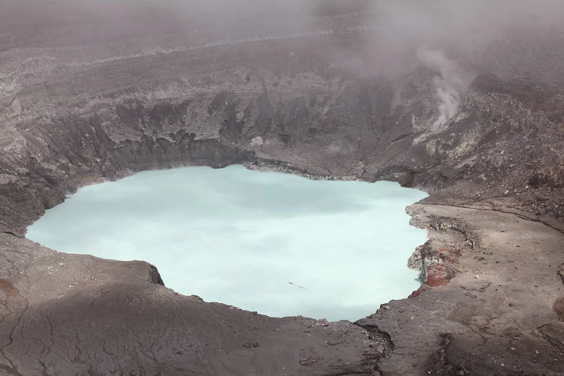 Laguna Caliente, the acid lake in the crater of Poás Volcano, seen up close, with a plume of steam rising from a fumarole on the shore