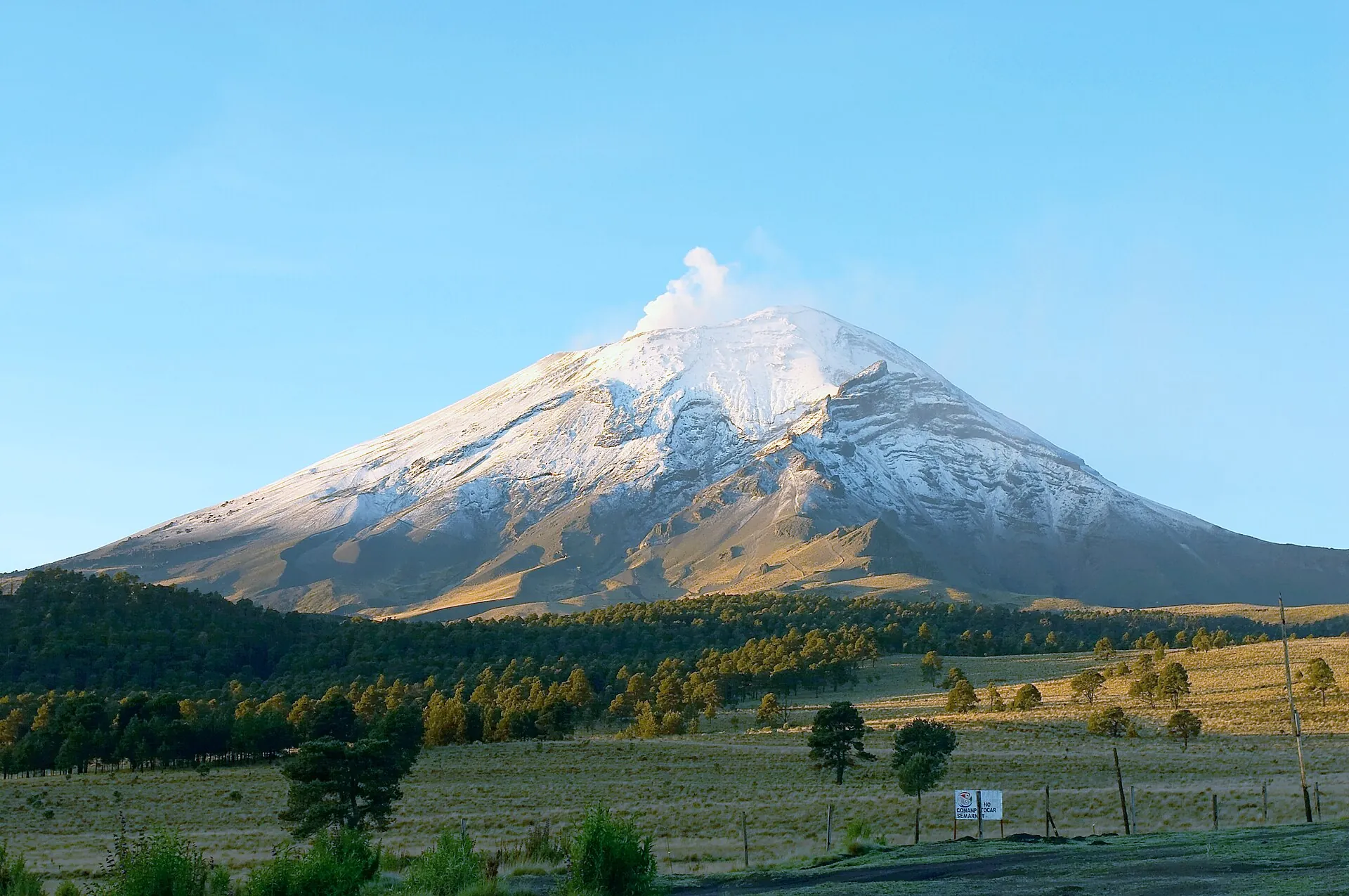 Der Popocatépetl vom Paso de Cortés aus: verschneiter Kegel mit Dampffahne über Kiefernwald und Hochlandwiese
