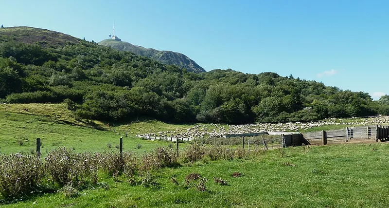 Wanderer auf einem Weg am Fuß des Puy de Dôme, der Gipfel mit dem Sendemast im Hintergrund