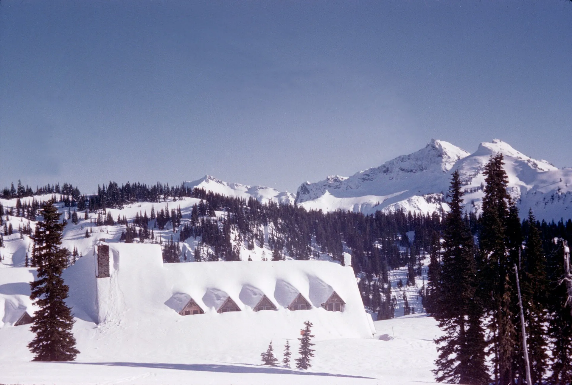 Die Paradise Inn im Mount-Rainier-Nationalpark im Winter, bis unter die Dachgauben eingeschneit, dahinter die verschneite Tatoosh-Kette
