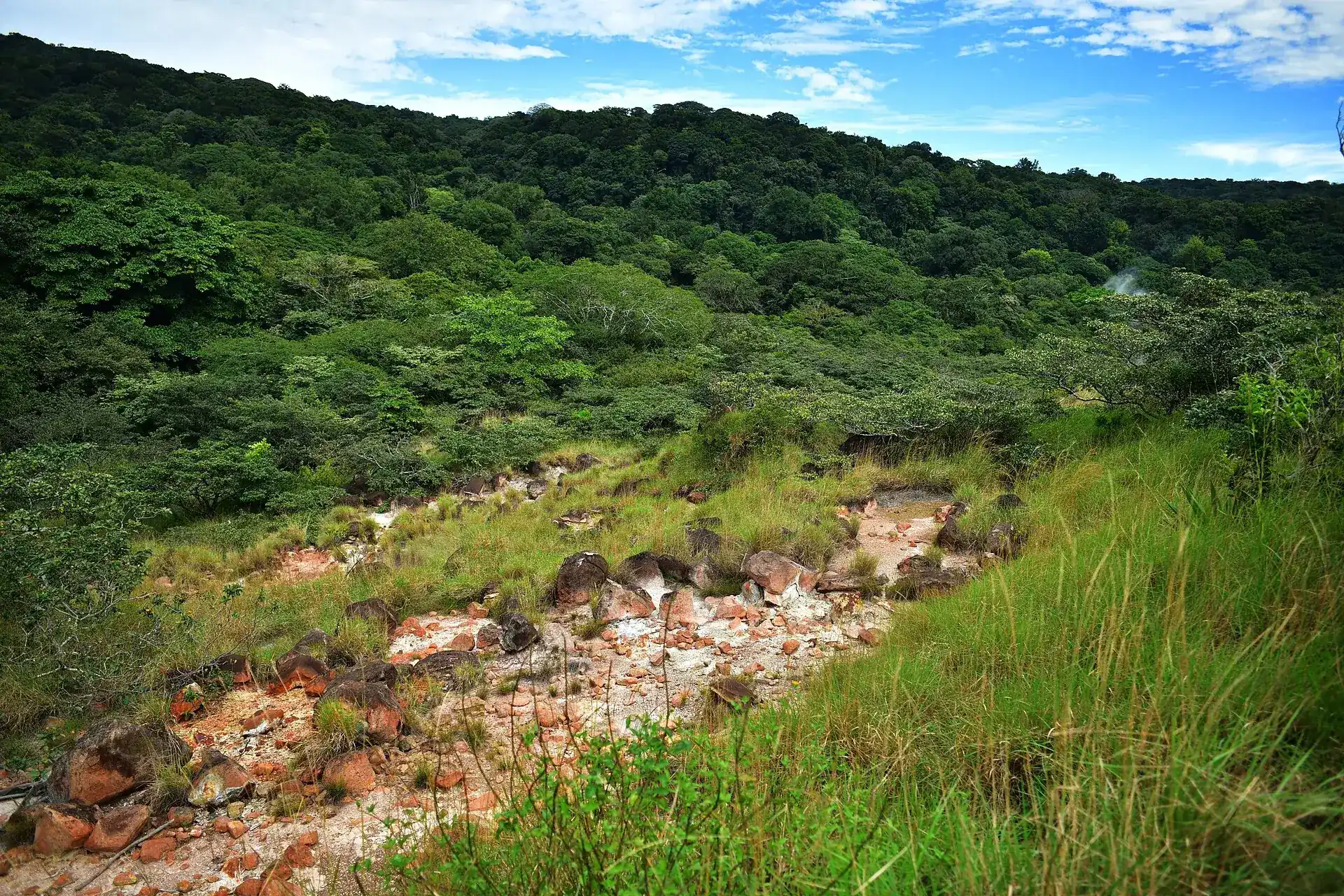 A slope in Rincón de la Vieja National Park: reddish, steaming ground between grass and dense forest
