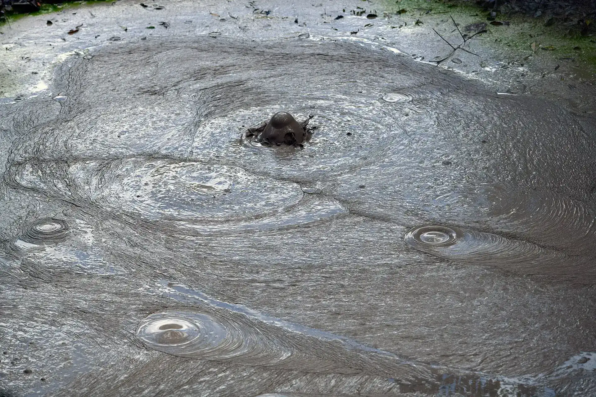 Gray, boiling mud in a mud pot in Rincón de la Vieja National Park, a bubble bursting at the surface