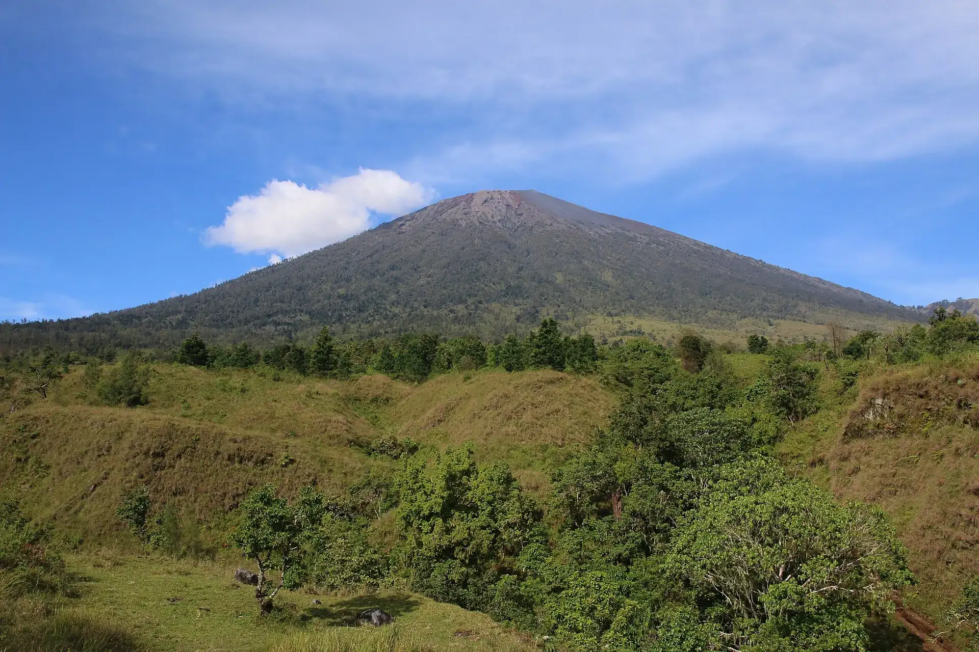 Mount Rinjani on Lombok seen from the Sembalun route: green savanna hills in the foreground, the bare cone behind them under a blue sky