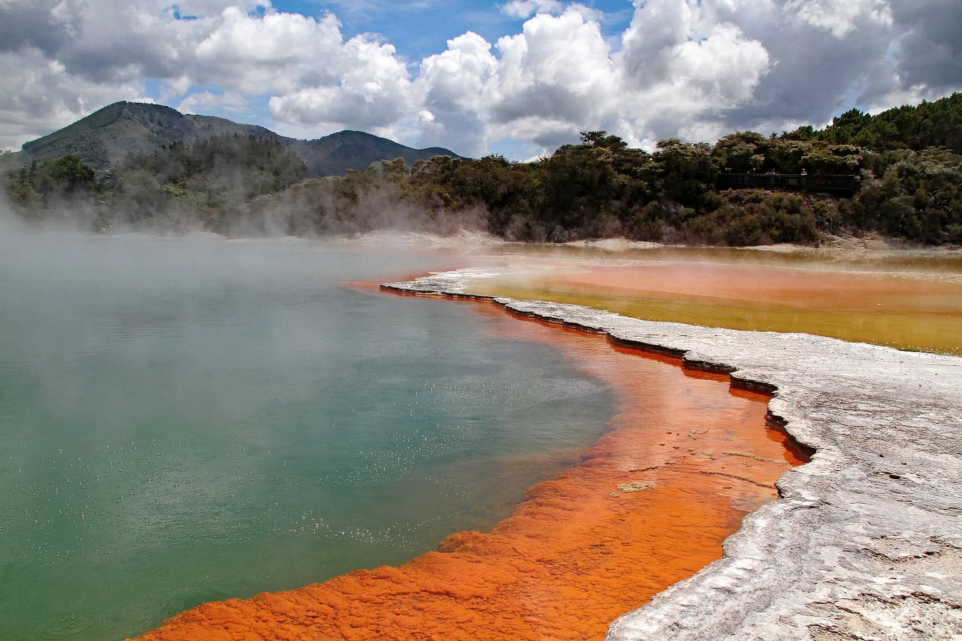 The Champagne Pool at Wai-O-Tapu Thermal Wonderland near Rotorua: green water, an orange sinter rim, steam standing over the surface