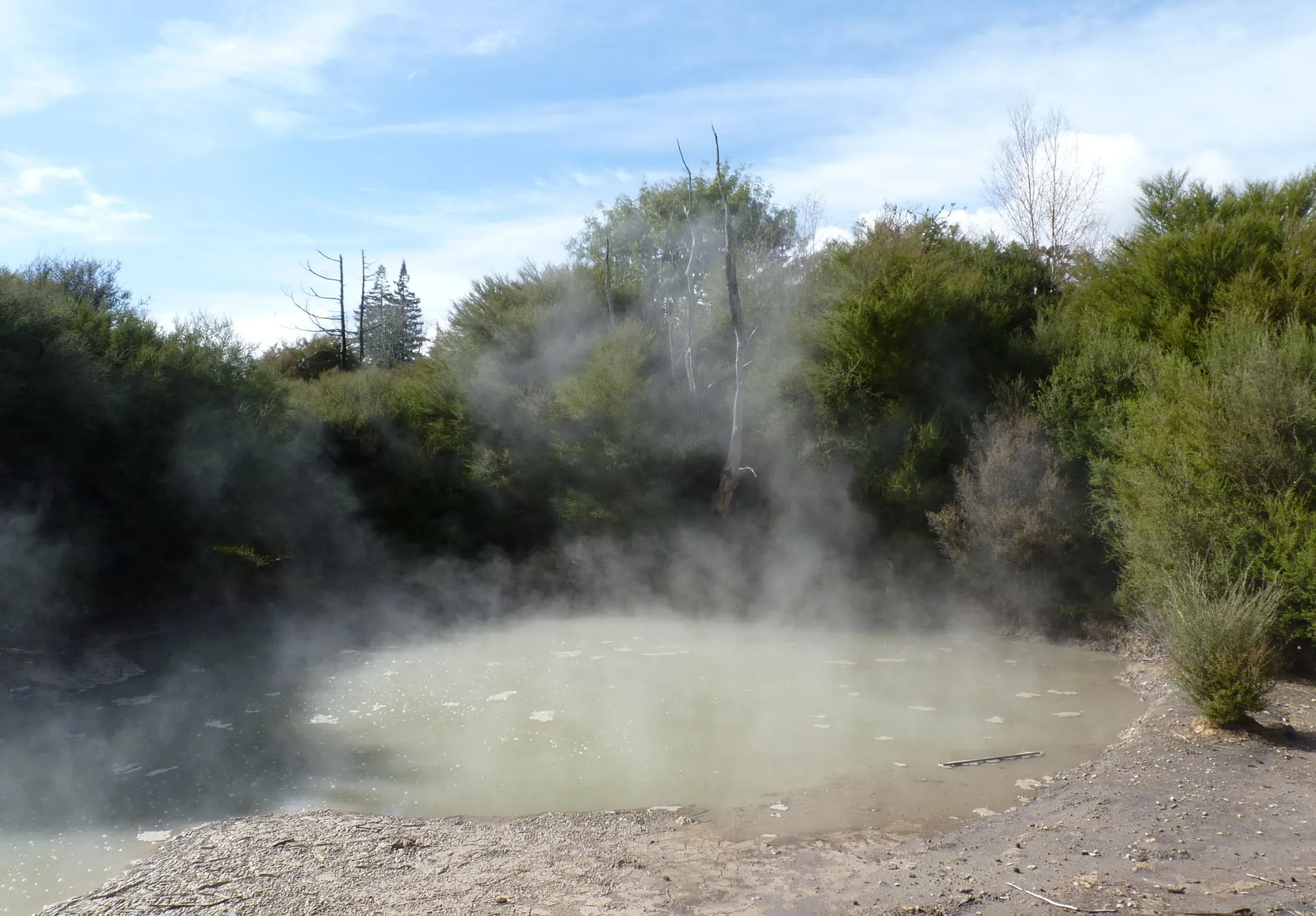 A steaming hot spring in Kuirau Park in Rotorua: a pale green pool with thick steam above it, surrounded by scrub