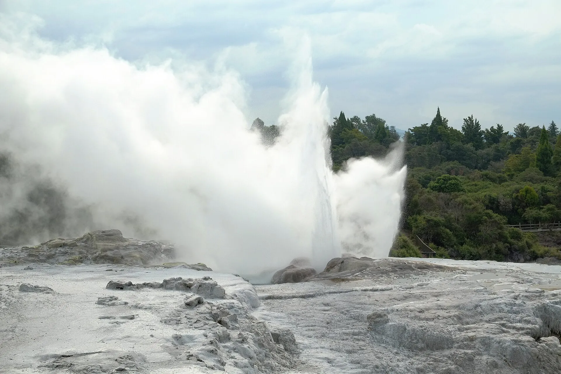 The Pōhutu geyser in the Te Whakarewarewa valley near Rotorua erupting: a jet of water above the white sinter terrace