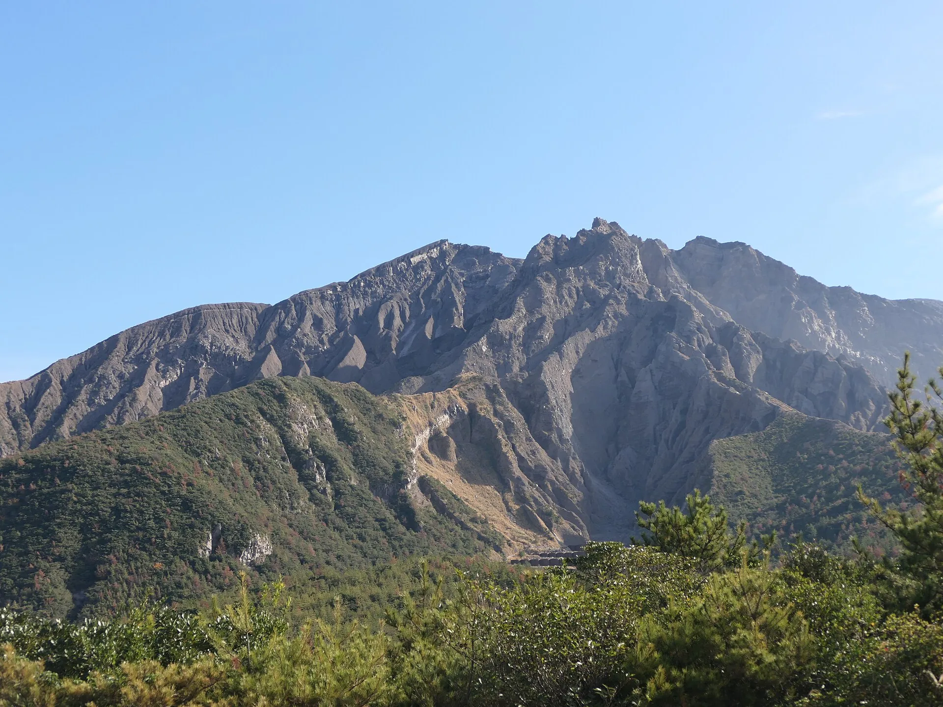 The bare summit flanks of Sakurajima, cut by erosion gullies, above forested slopes