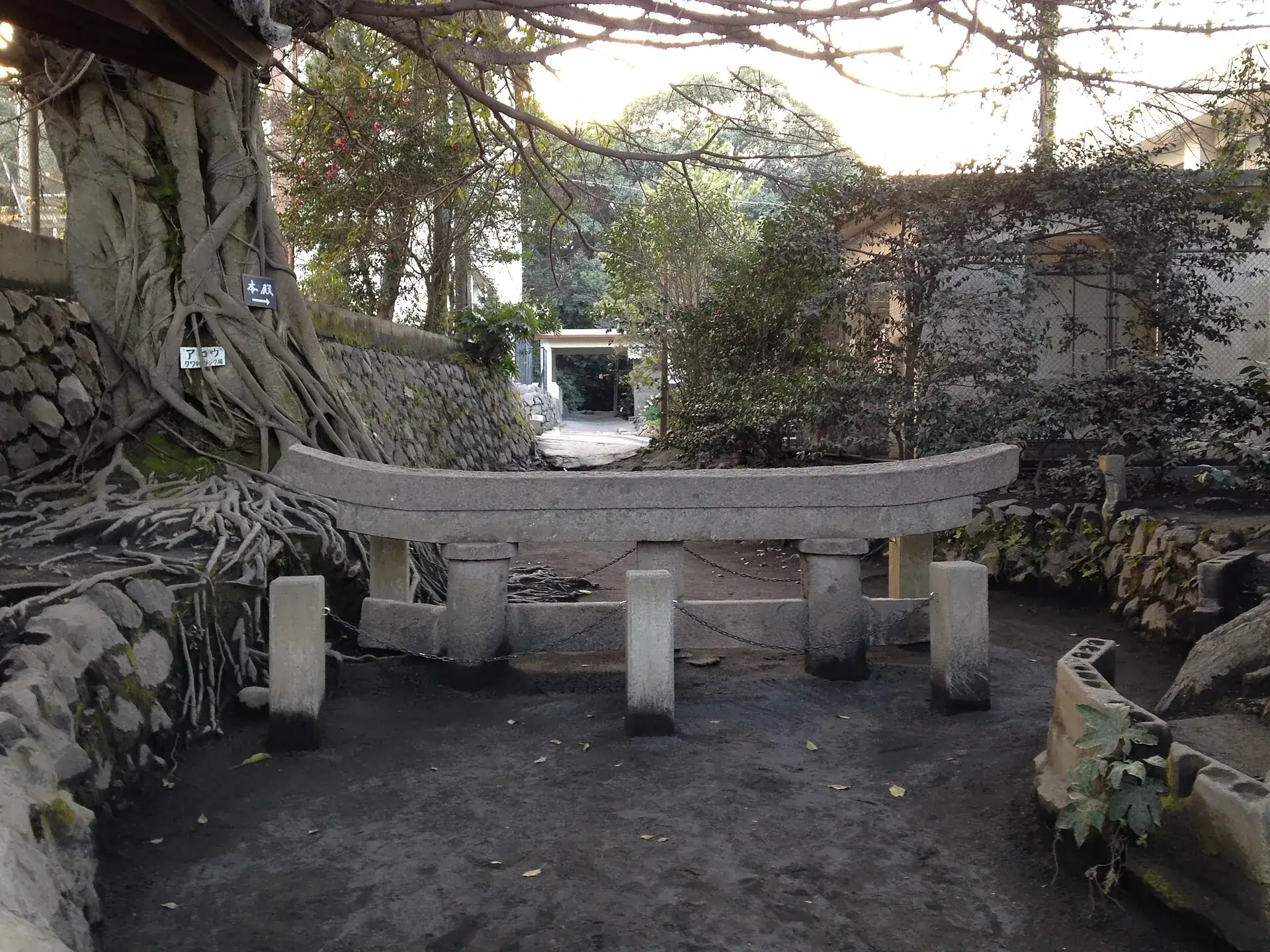 The buried torii of Kurokami on Sakurajima: only the upper crossbeam of the stone shrine gate rises above the ground