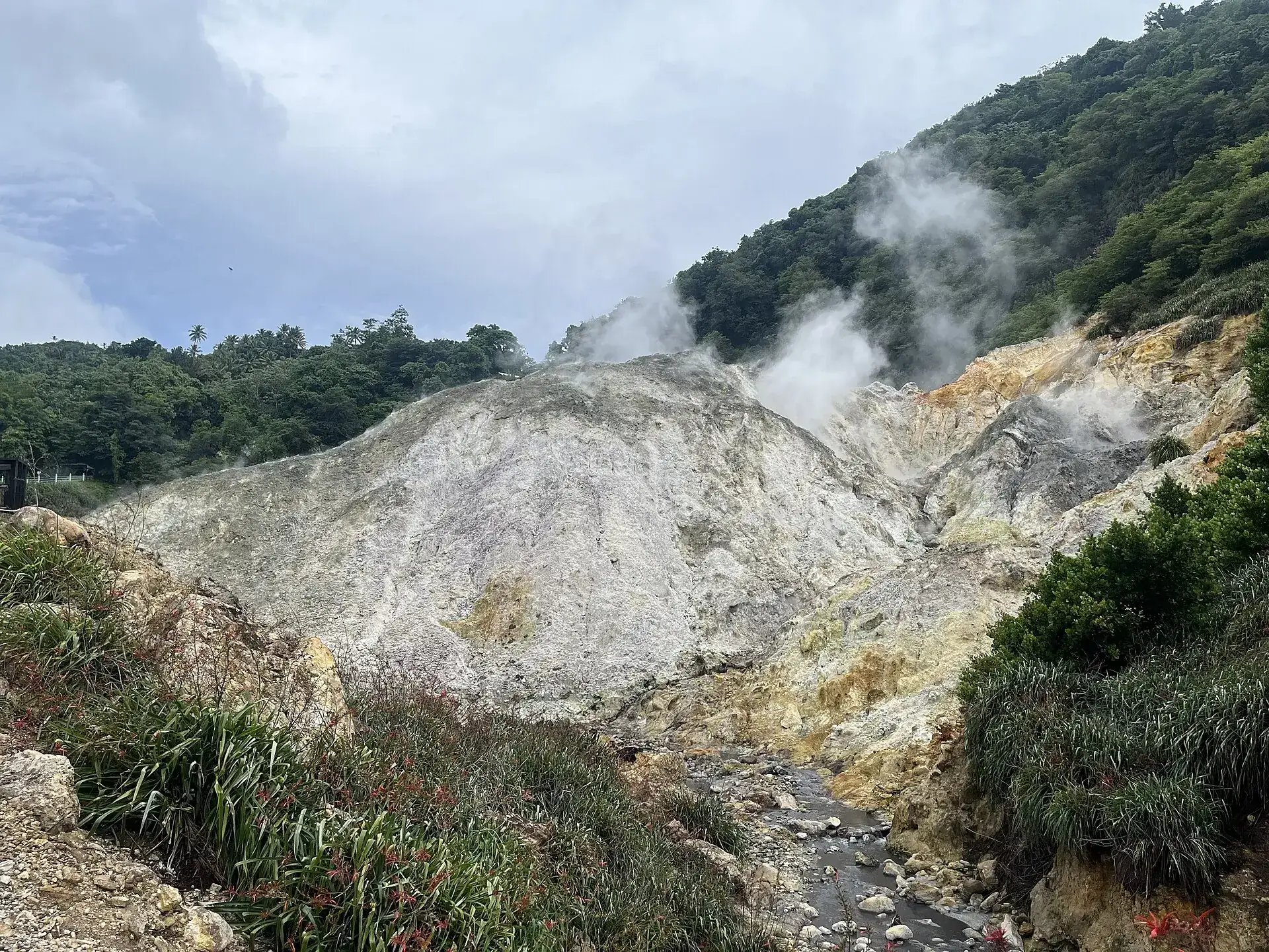 Das dampfende Geothermalfeld der Sulphur Springs: gelbgraue Schwefelkruste, weiße Dampffahnen, bewaldete Hänge dahinter