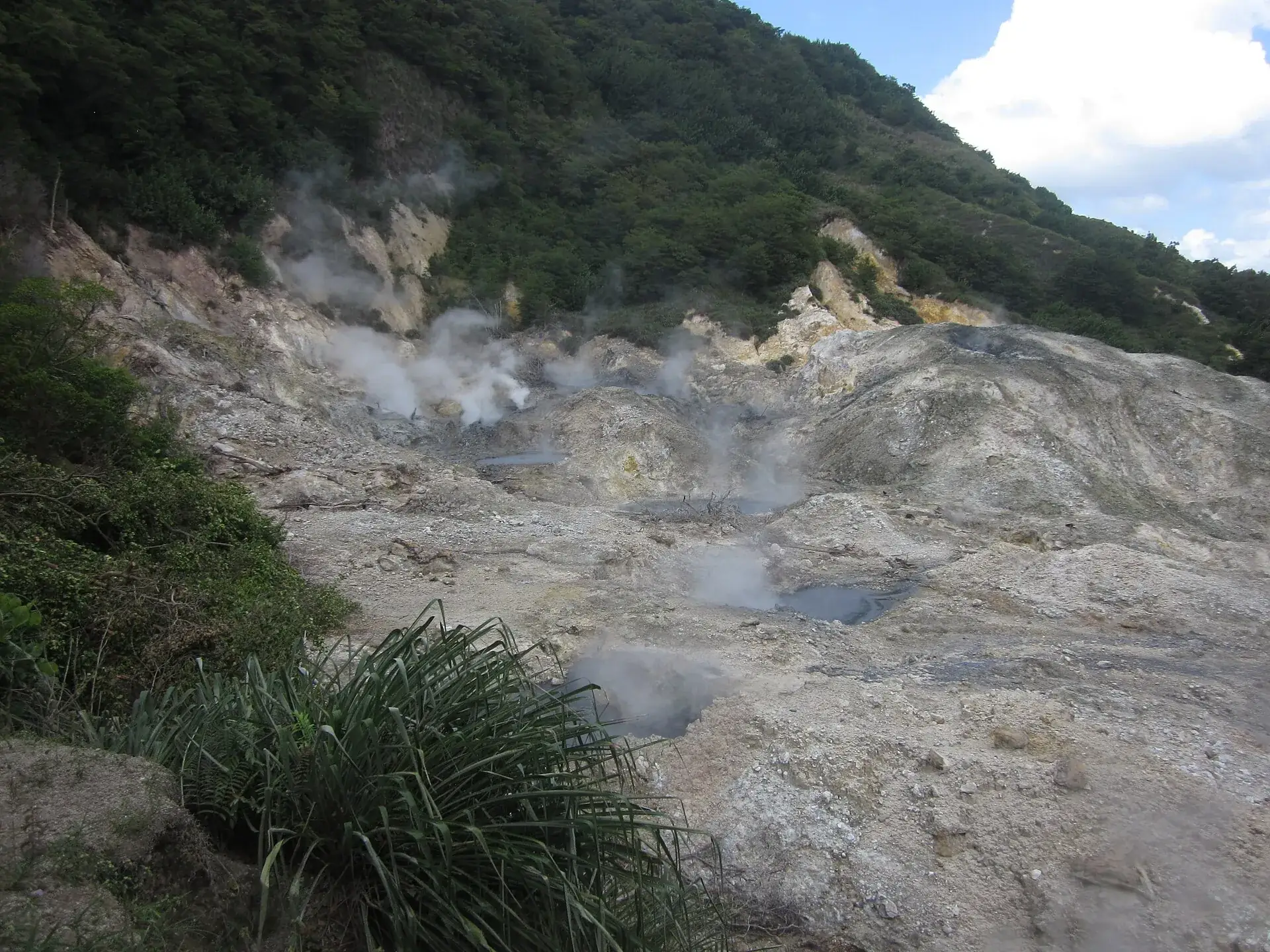 Fumarolen der Sulphur Springs auf St. Lucia: gelbe Schwefelablagerungen, brodelndes graues Wasser, dichter Dampf