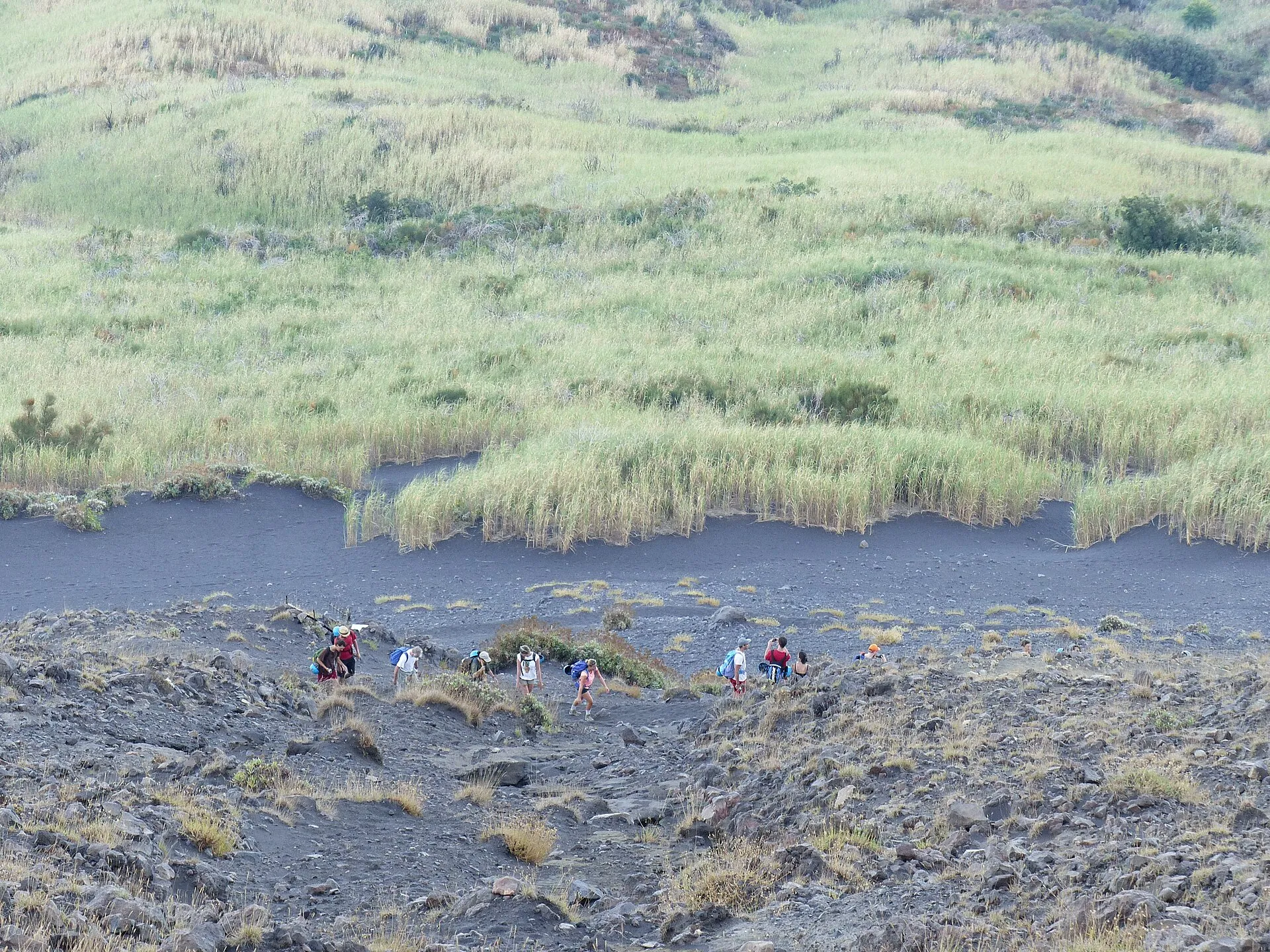 Hikers on the ascent path at Stromboli: a trail of black ash between tall reed grass, a group with helmets above