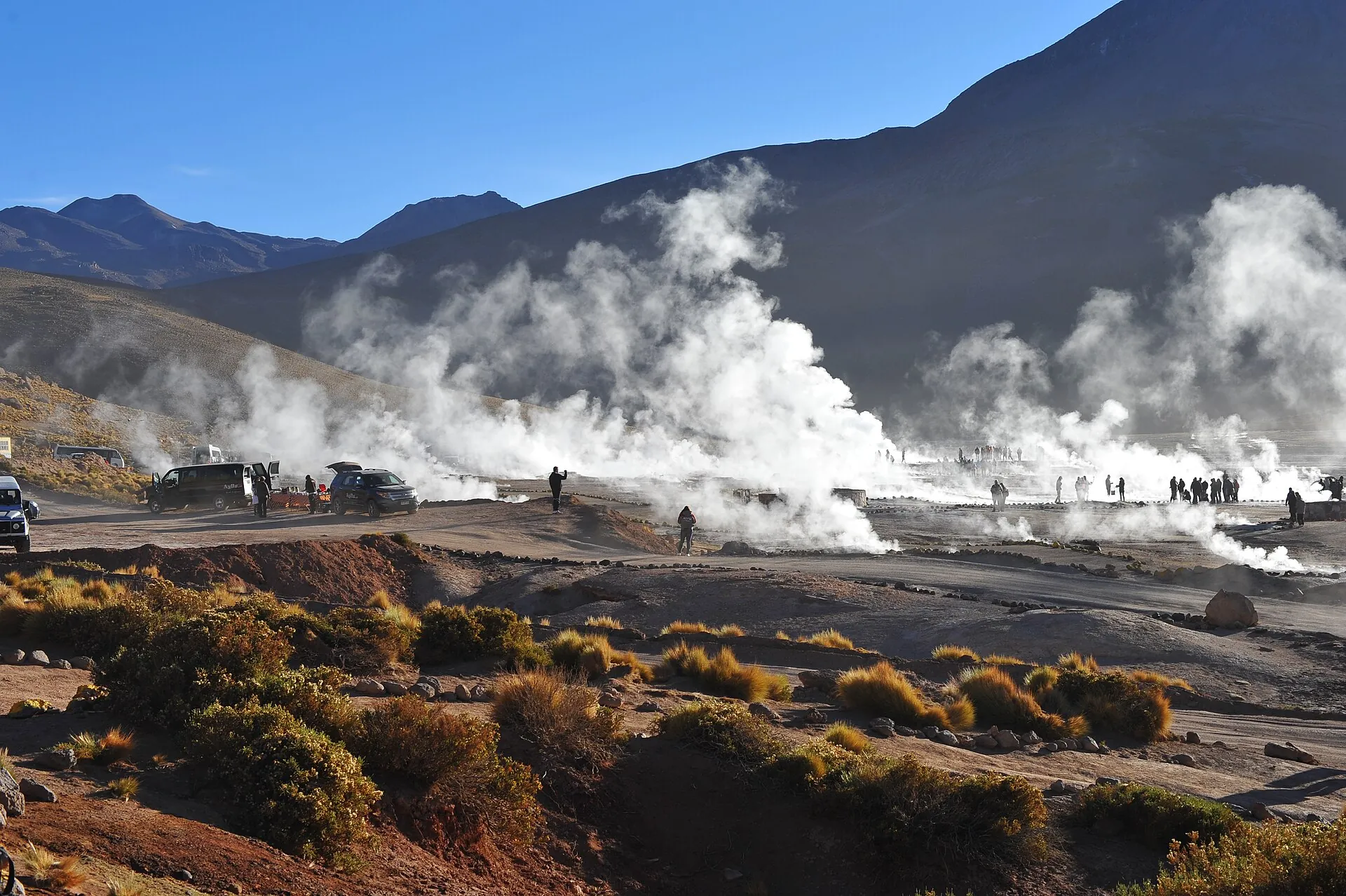 Groups of visitors and minibuses among the steam columns of the El Tatio geyser field in the morning, brown mountains behind