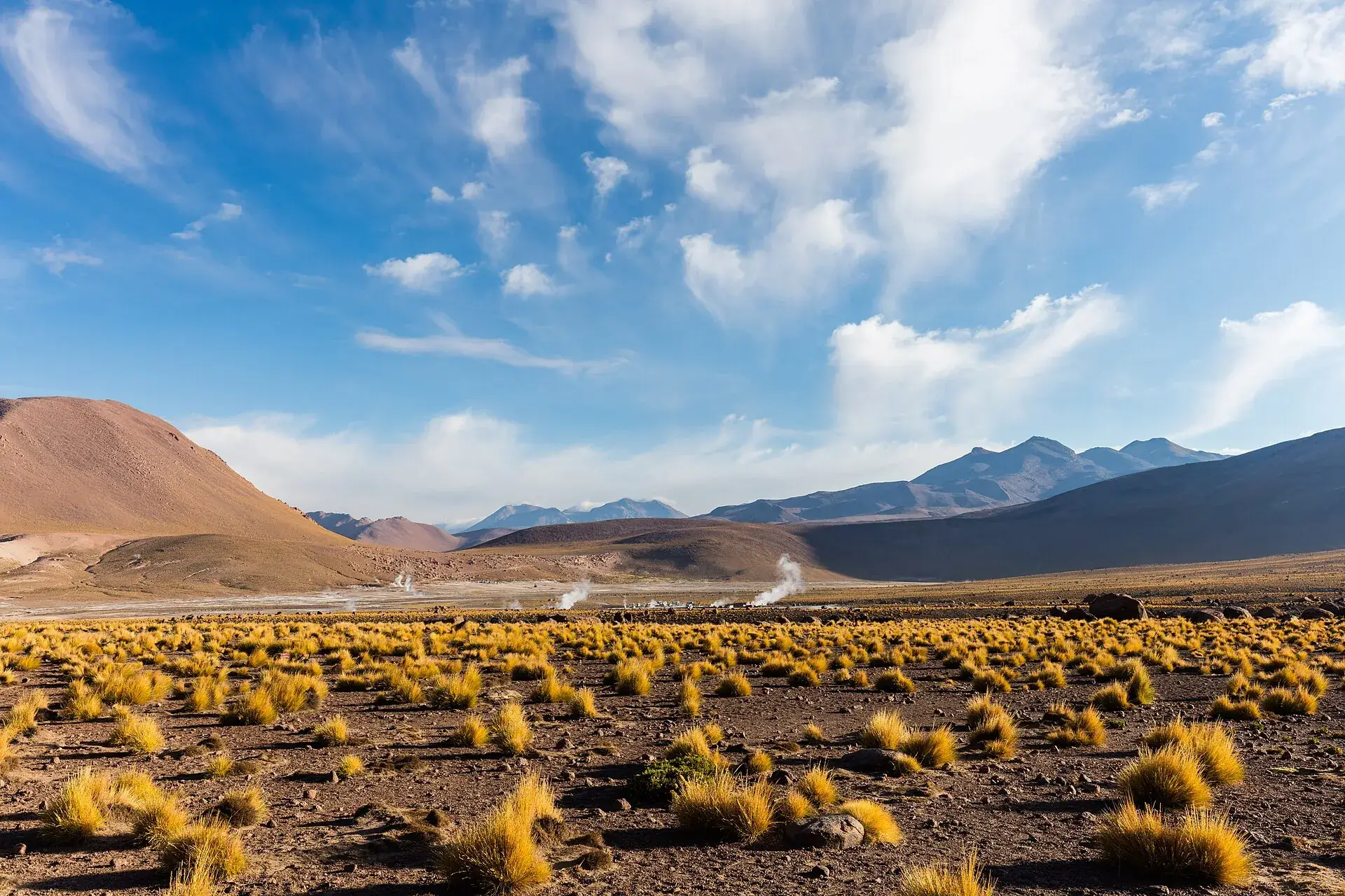 The El Tatio geyser field in the late morning: yellow ichu grass, a few steam columns and the volcanoes of the Altiplano under clouds