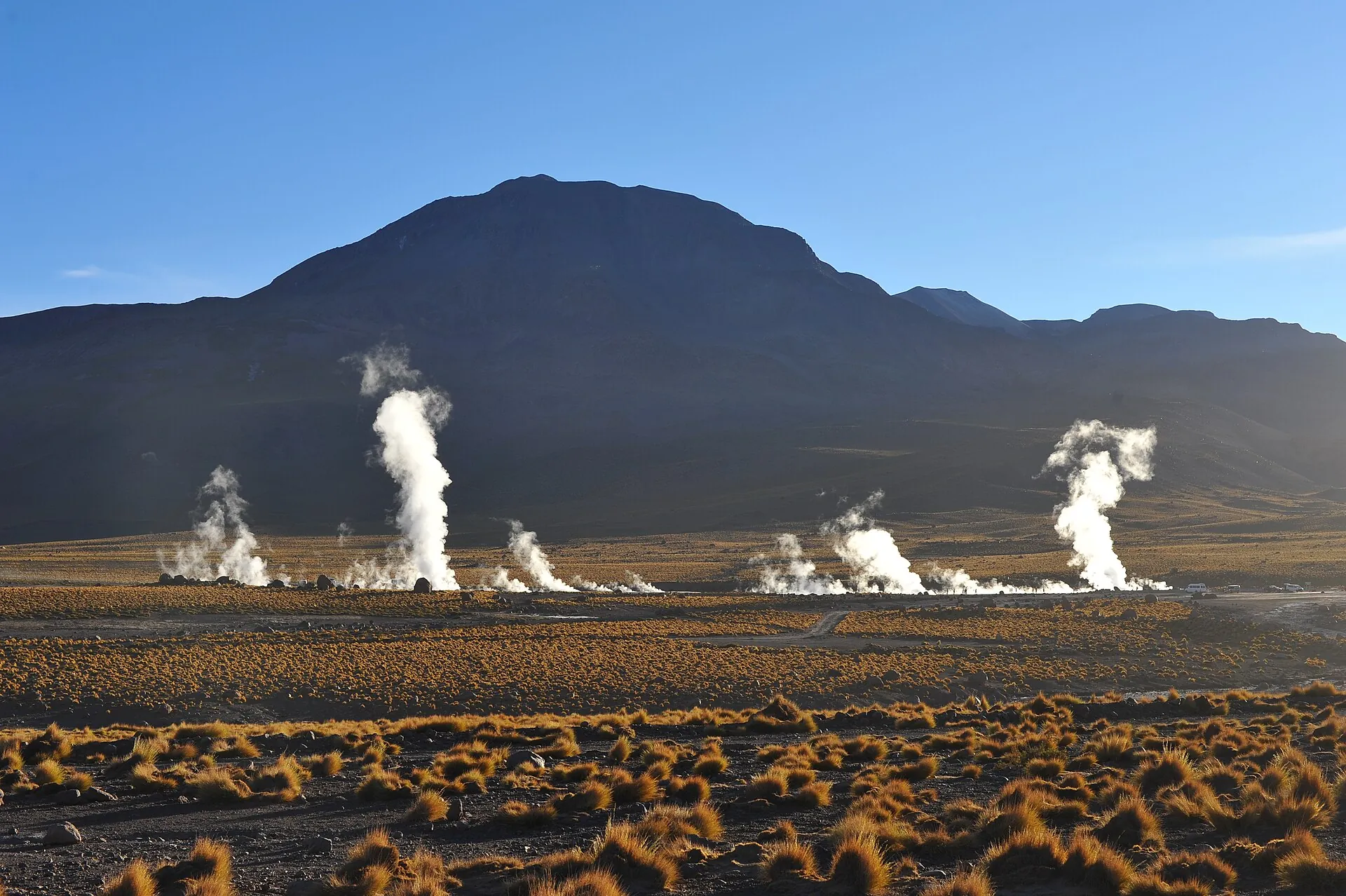 White columns of steam rising over the El Tatio geyser field, the morning sun turning the grass golden