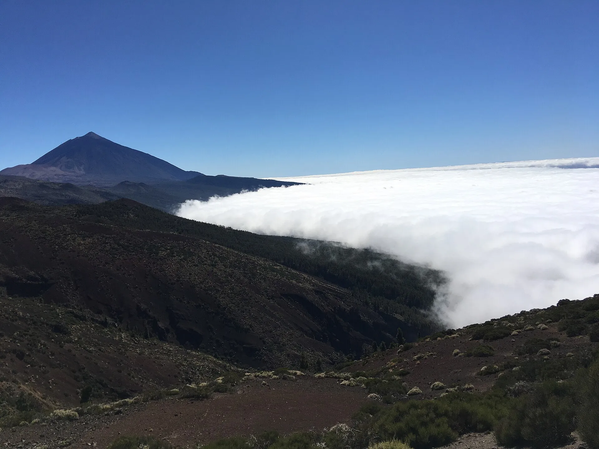 Der Teide über dem Wolkenmeer: dunkle Lavahänge, darunter eine geschlossene weiße Wolkendecke
