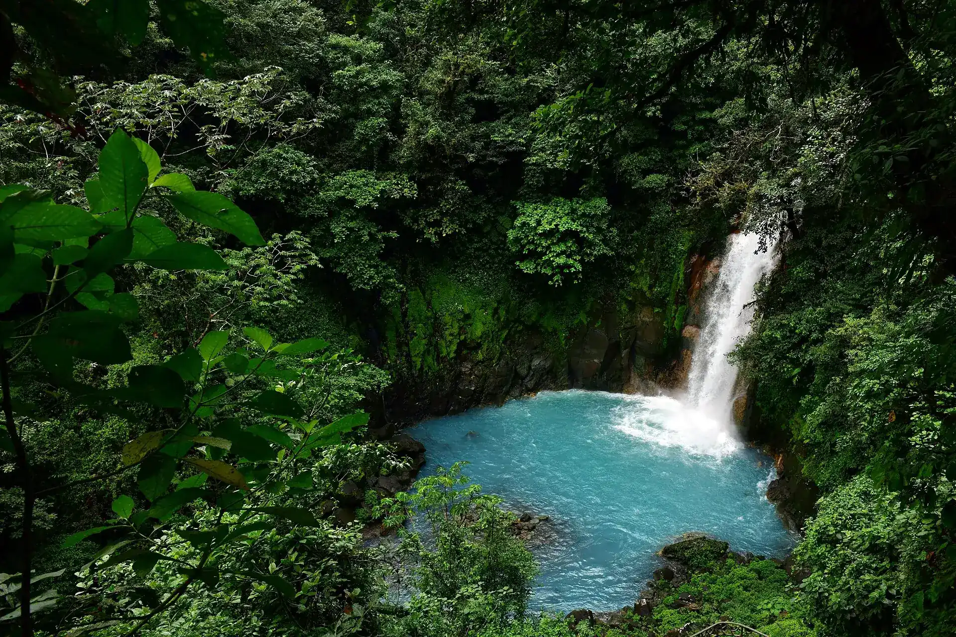 The Río Celeste waterfall drops between green-covered rock walls into a pale blue pool