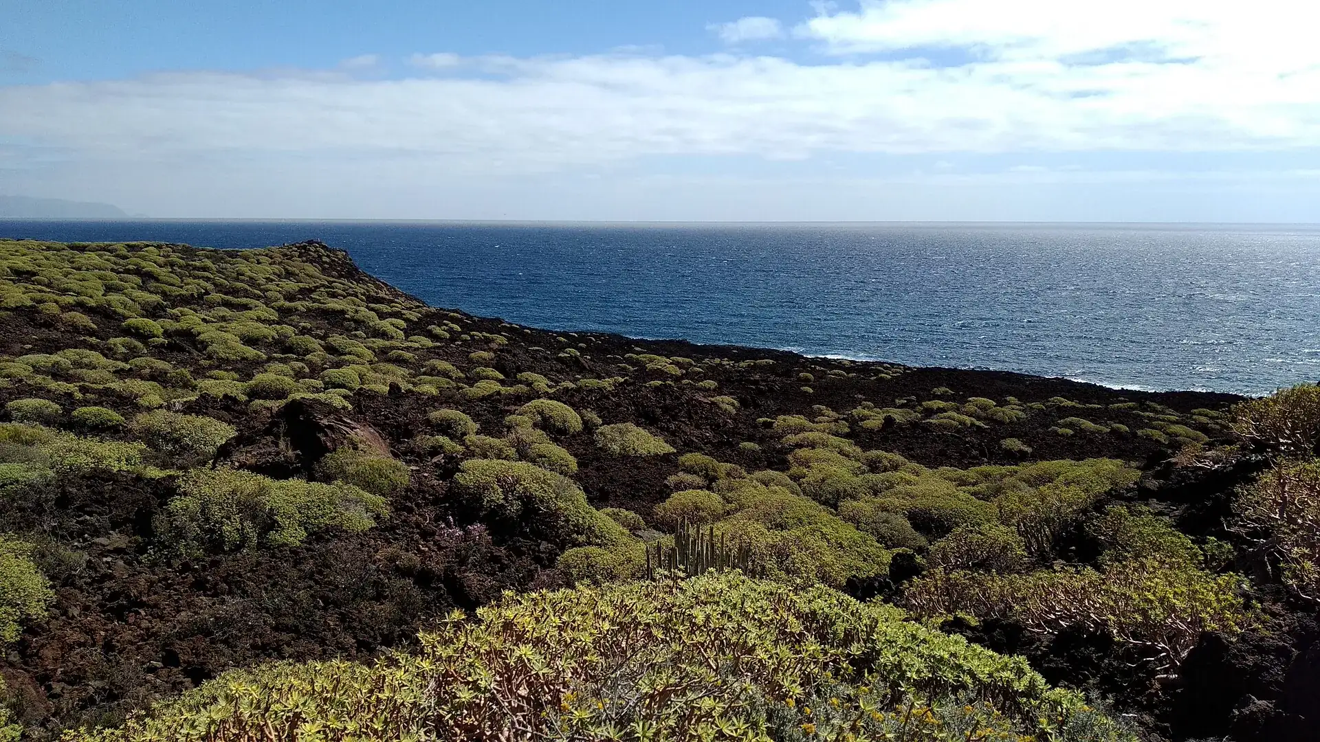Lavafeld des Malpaís de Güímar mit Wolfsmilchbüschen, dahinter das Meer