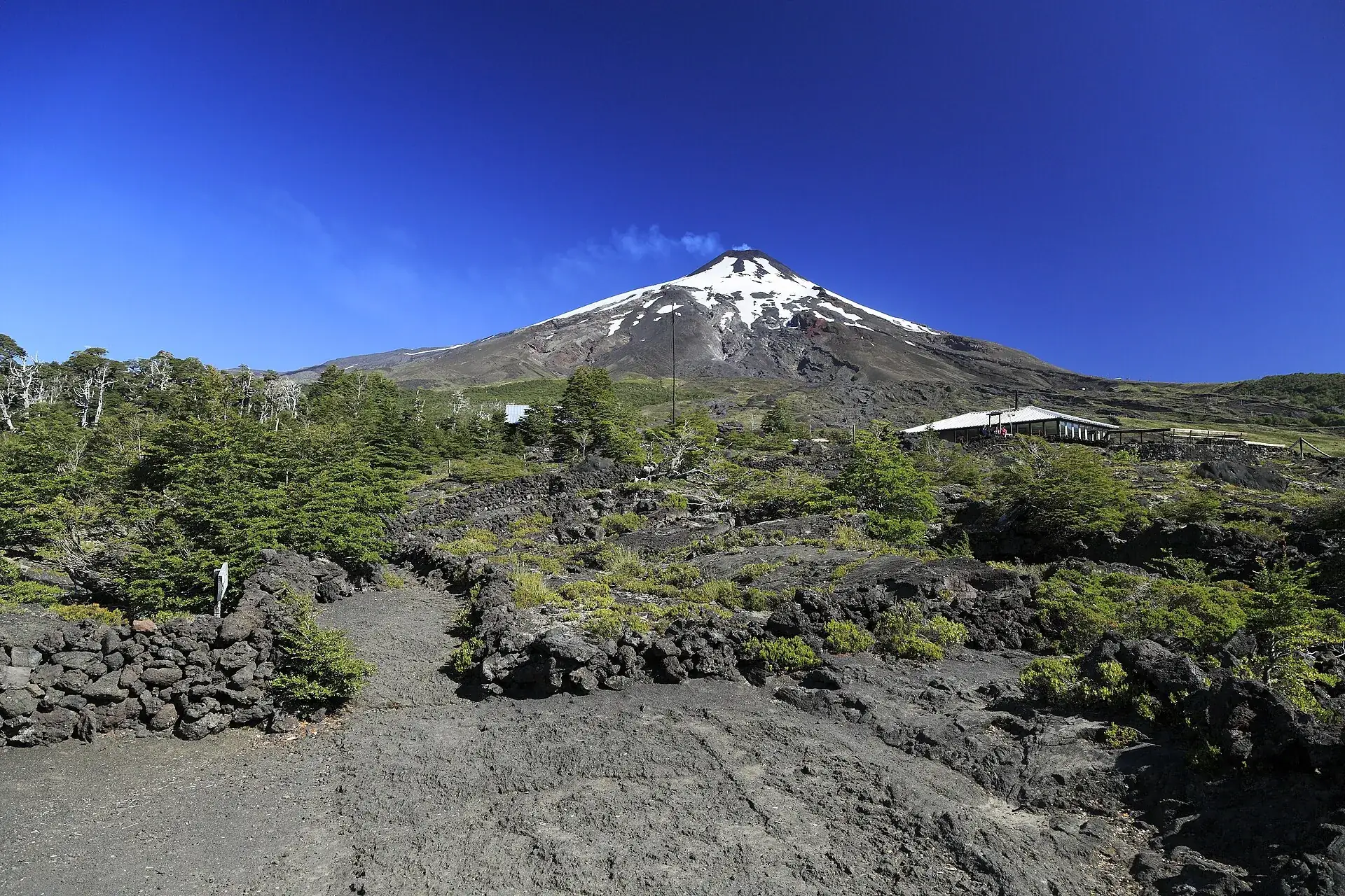 Erstarrte Lavafelder mit jungen Bäumen im Parque Cuevas Volcánicas, dahinter der Kegel des Villarrica