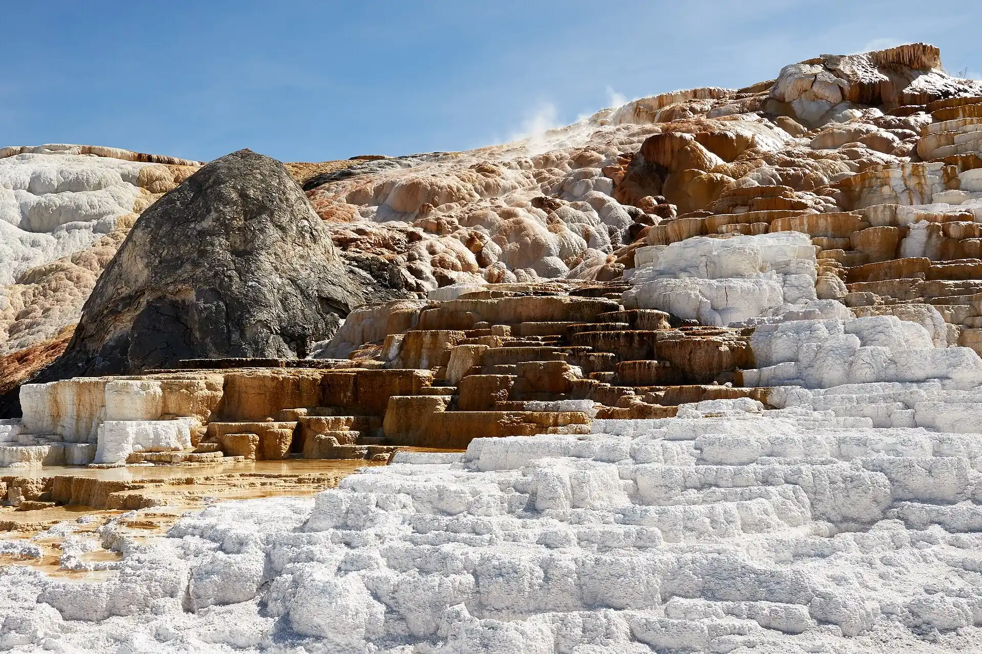 Die Sinterterrassen von Mammoth Hot Springs im Yellowstone: weiße und orangebraune Travertinstufen, links ein dunkler Felsblock